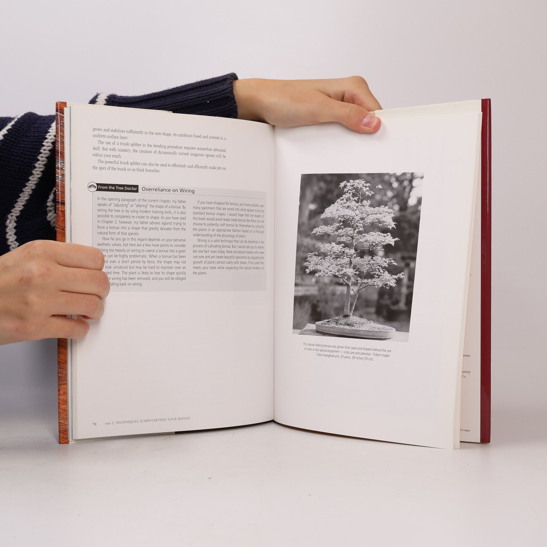 Masakuni Kawasumi II The Secret Techniques of Bonsai