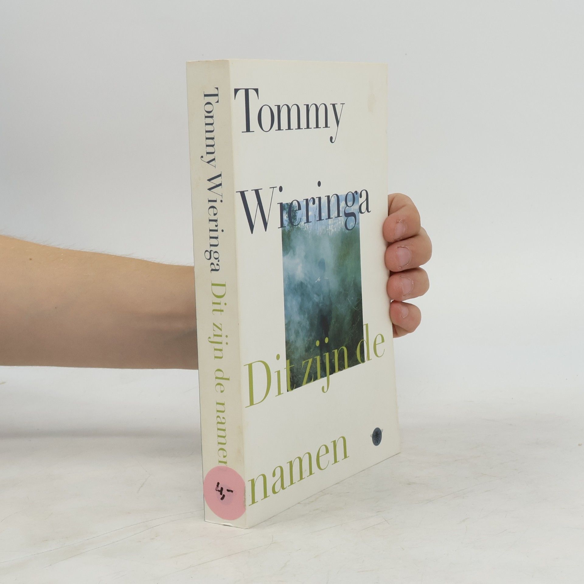 Tommy Wieringa Dit zijn de namen
