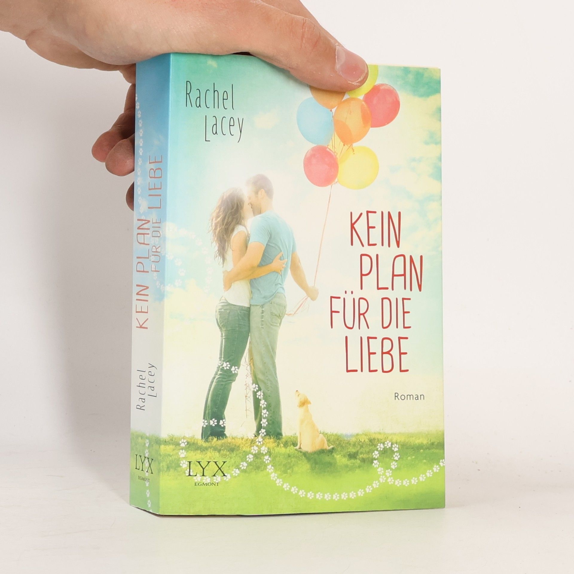 Rachel Lacey Kein Plan für die Liebe