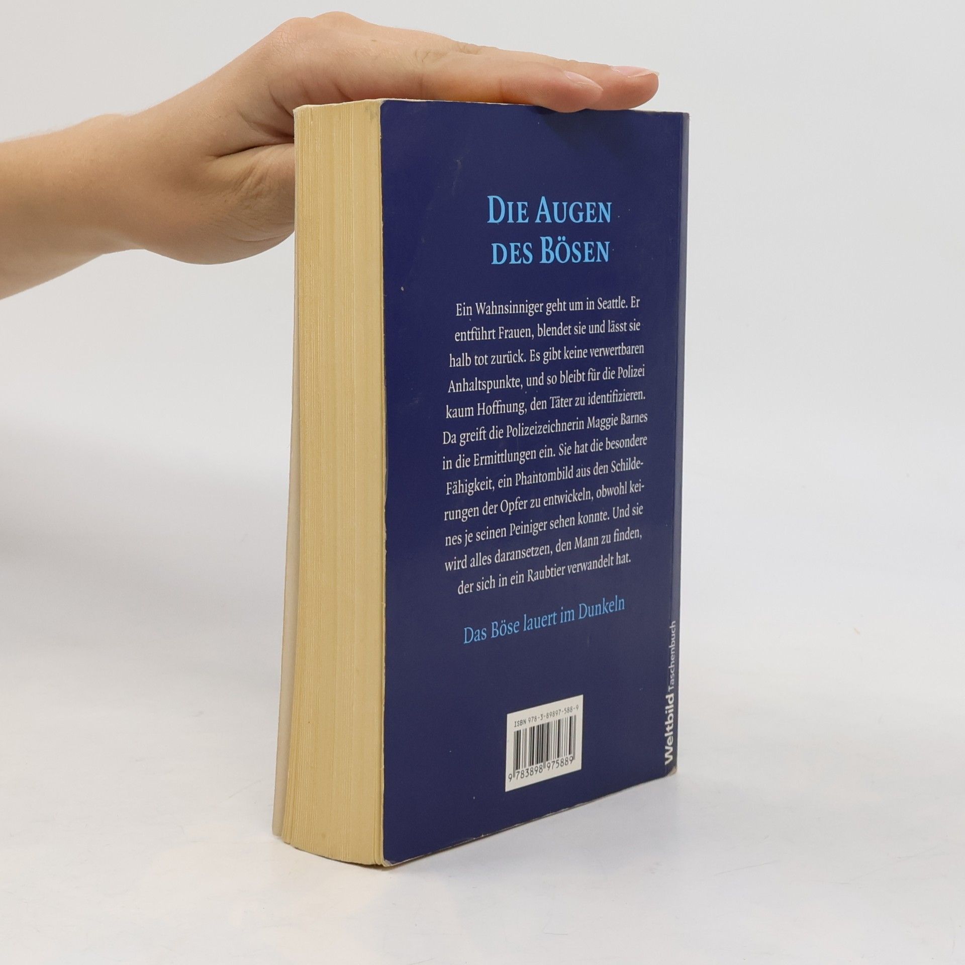 Kay Hooper Die Augen des Bösen