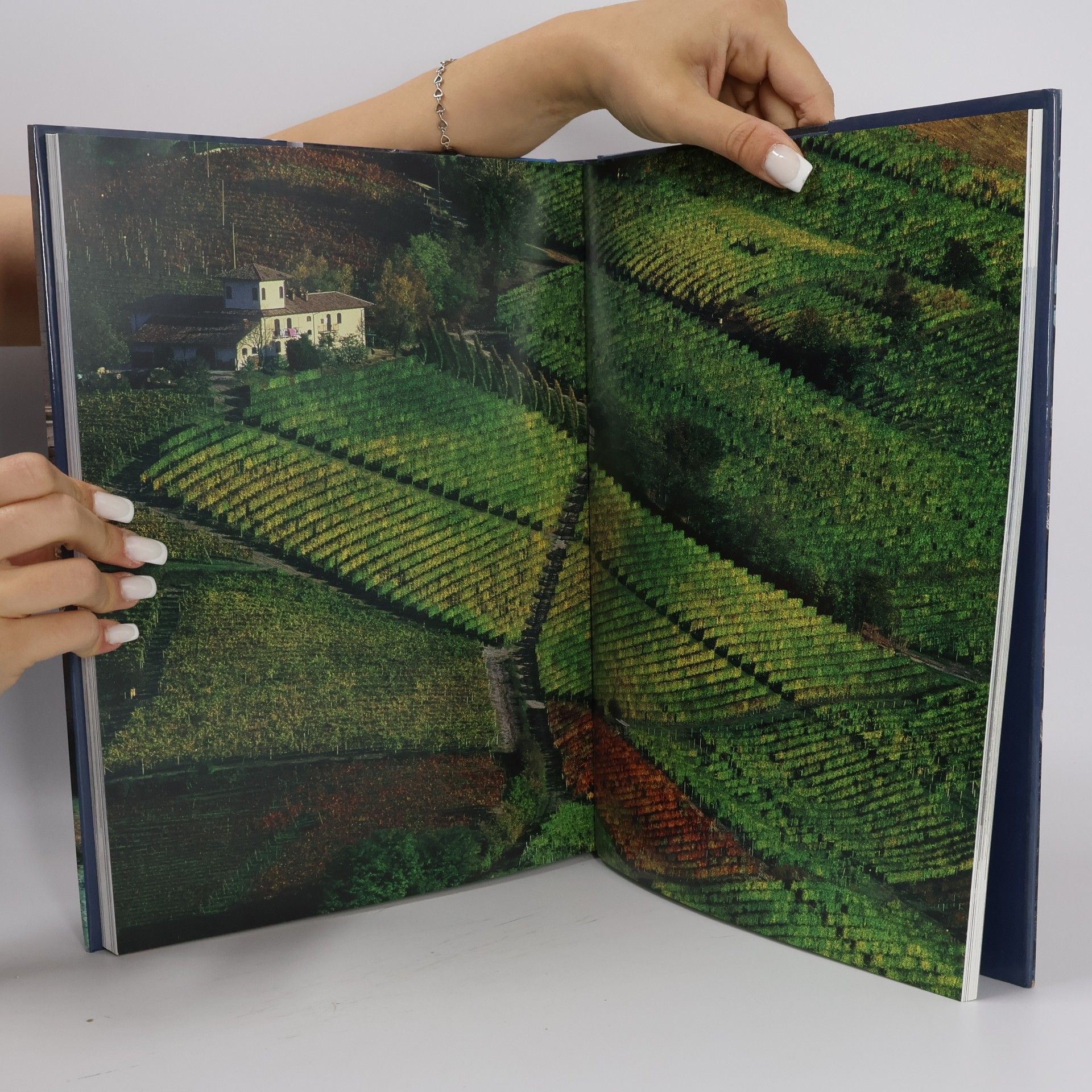 Fabrizia Villari Gerli Around Italy in 80 Wonders