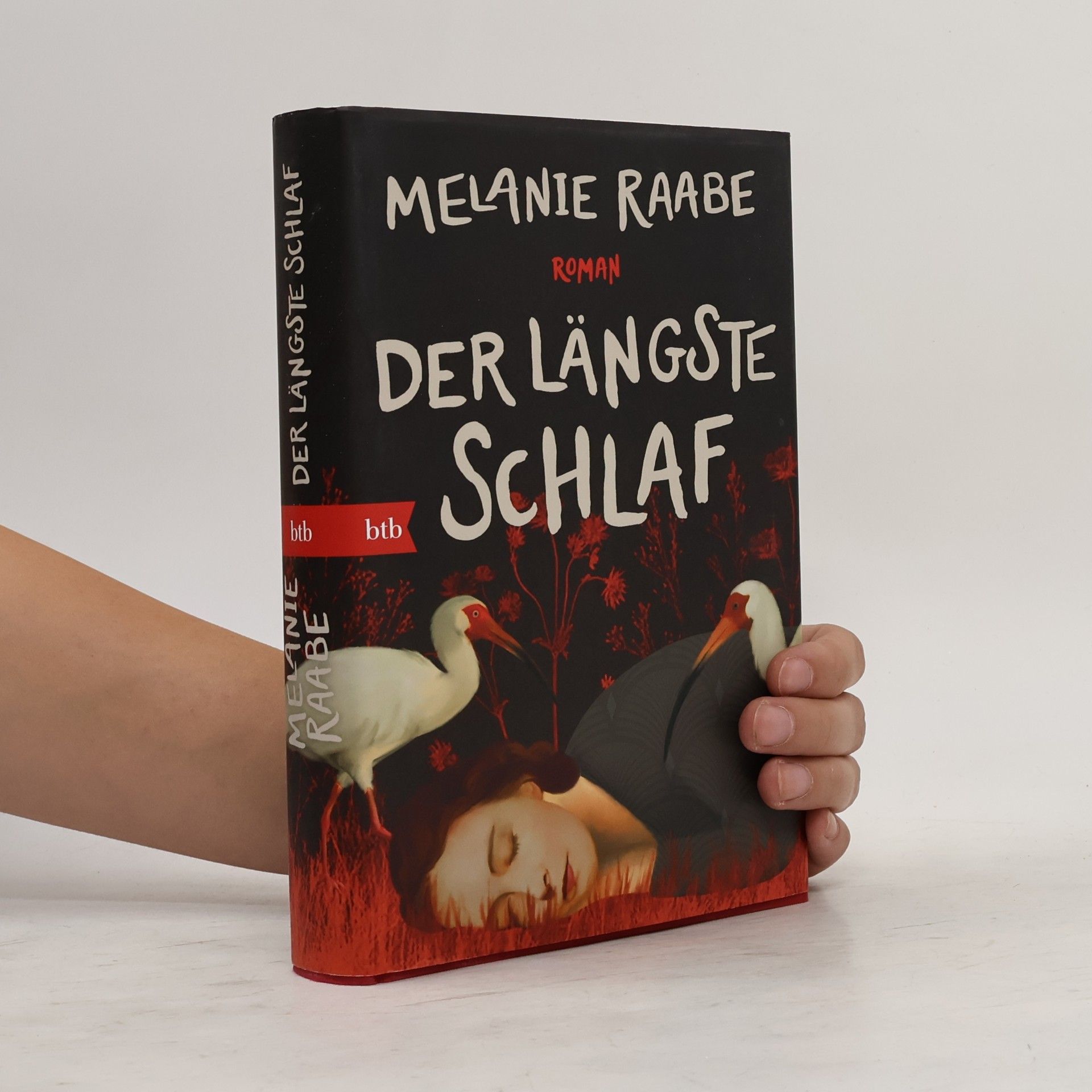 Melanie Raabe Der längste Schlaf. Roman
