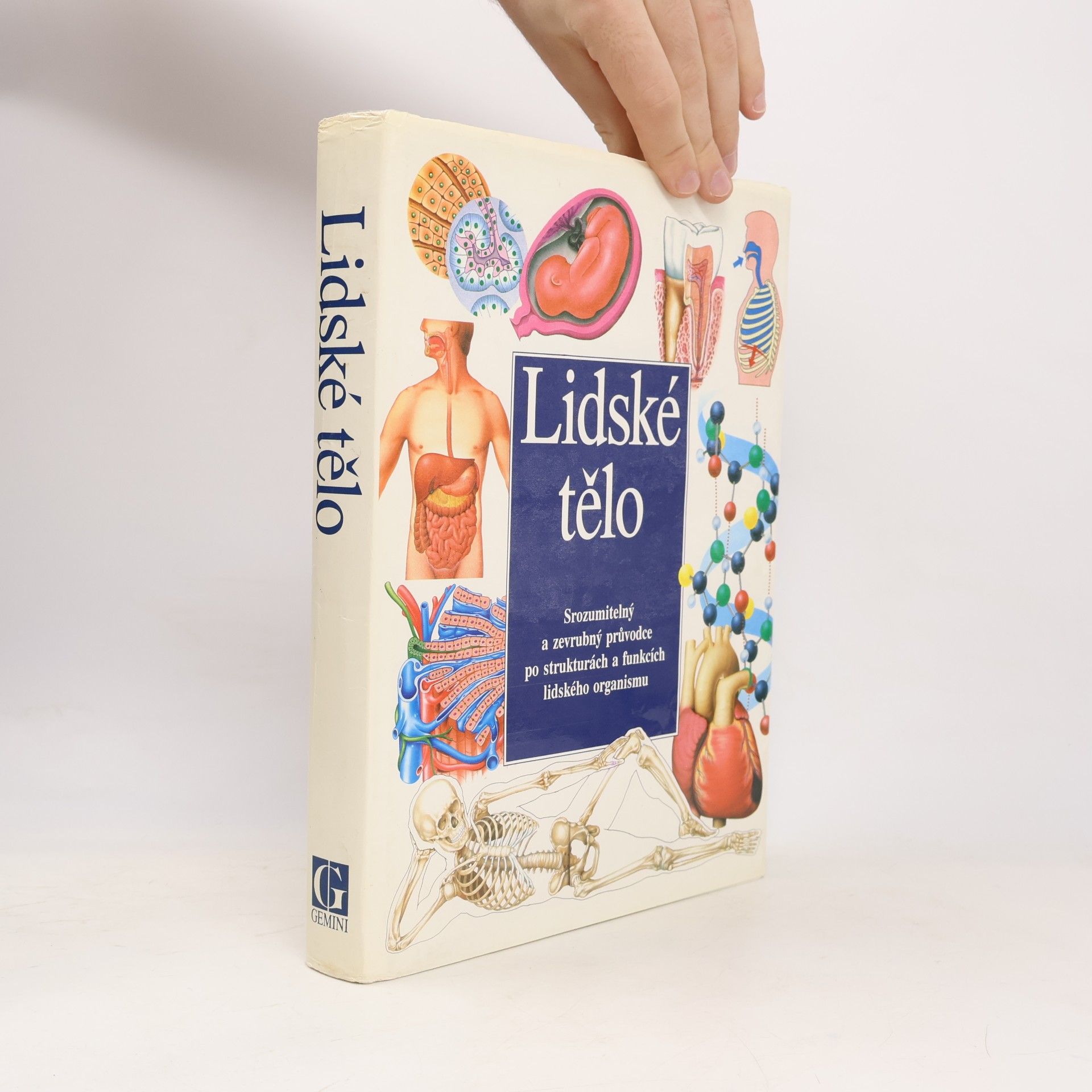 Various authors Lidské tělo : Srozumitelný a zevrubný průvodce po strukturách a funkcích lidského organismu