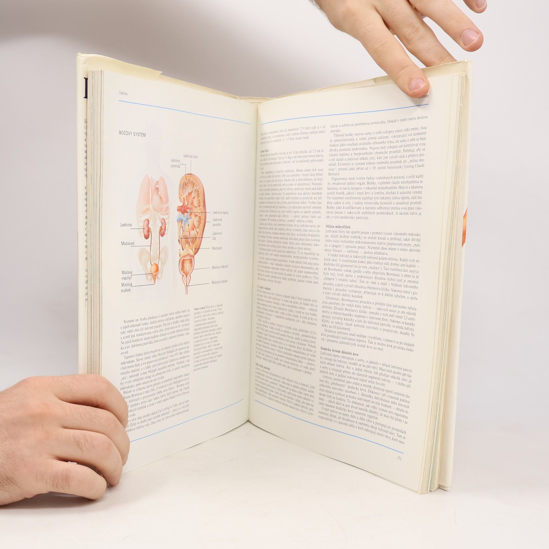 Various authors Lidské tělo : Srozumitelný a zevrubný průvodce po strukturách a funkcích lidského organismu