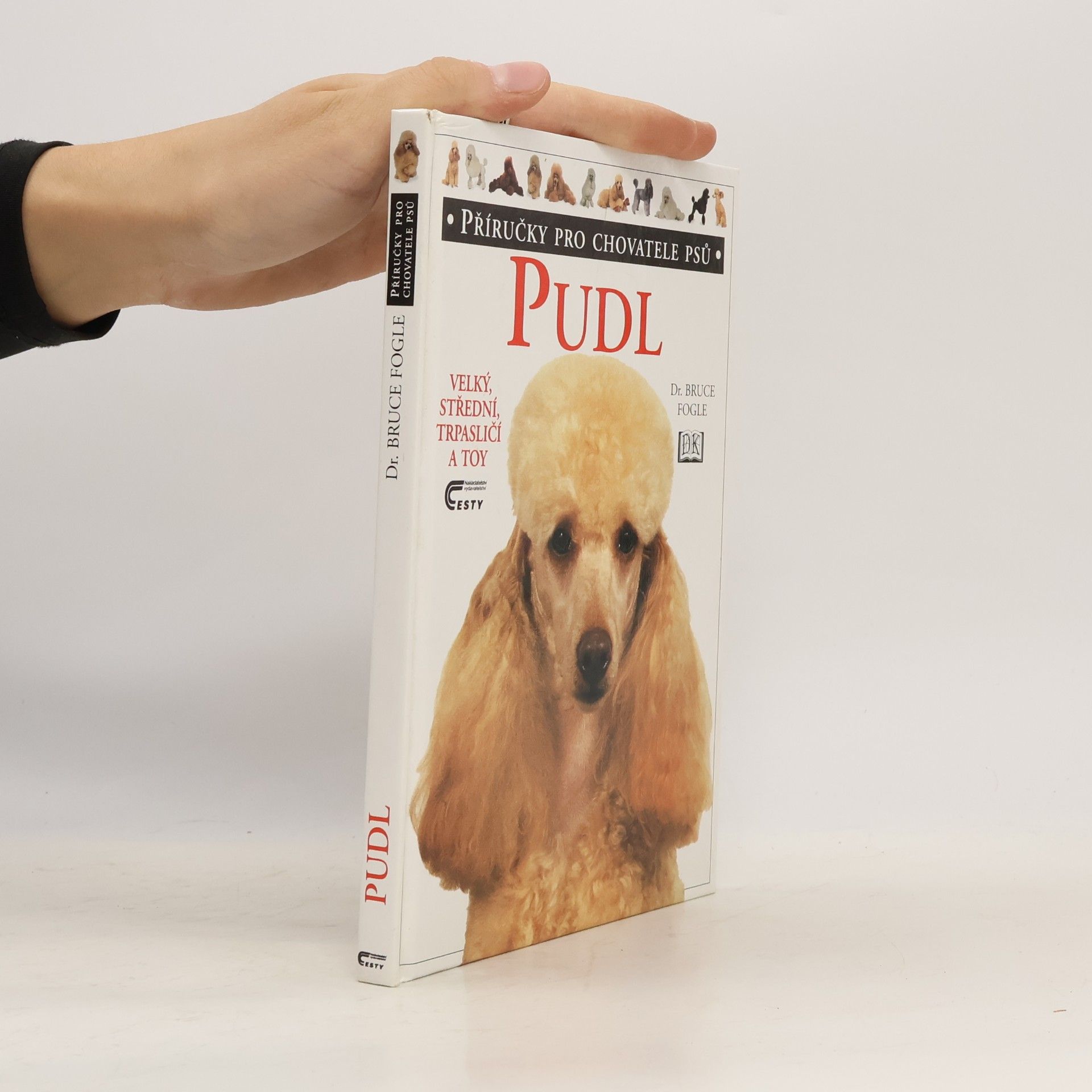 Bruce Folge Pudl