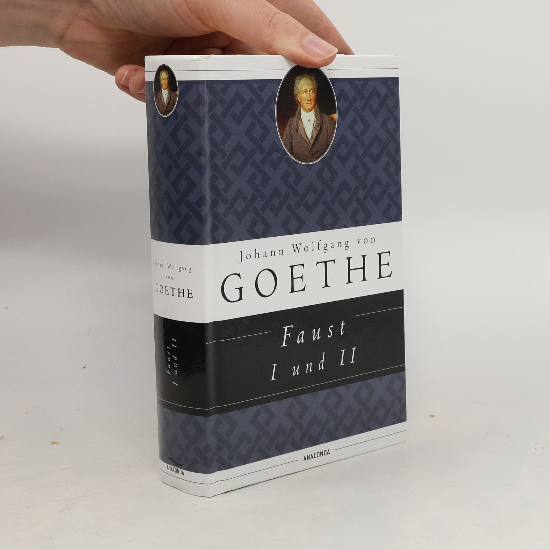 Johann Wolfgang von Goethe Faust I und II