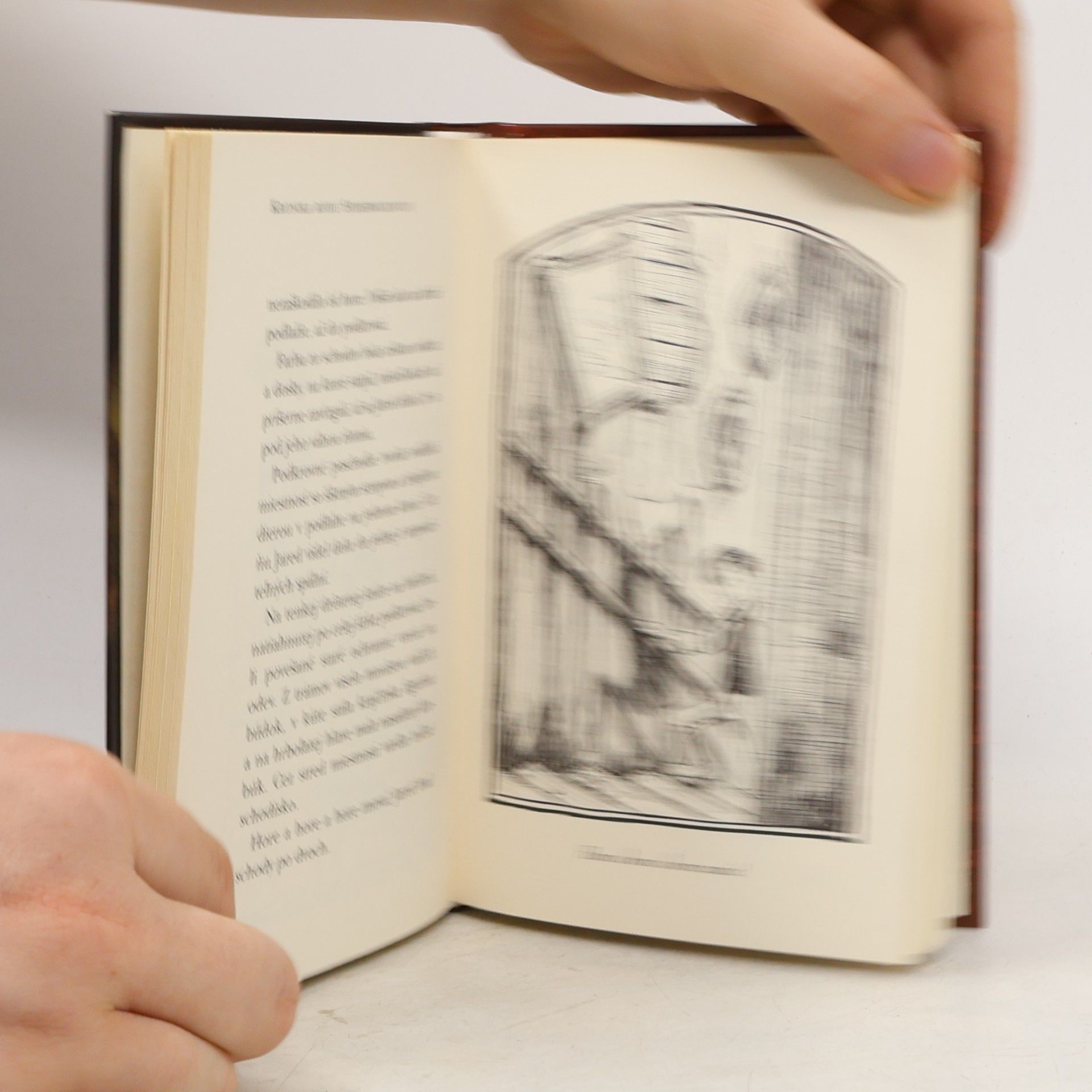 Tony DiTerlizzi Kronika rodu Spiderwickovcov 1.