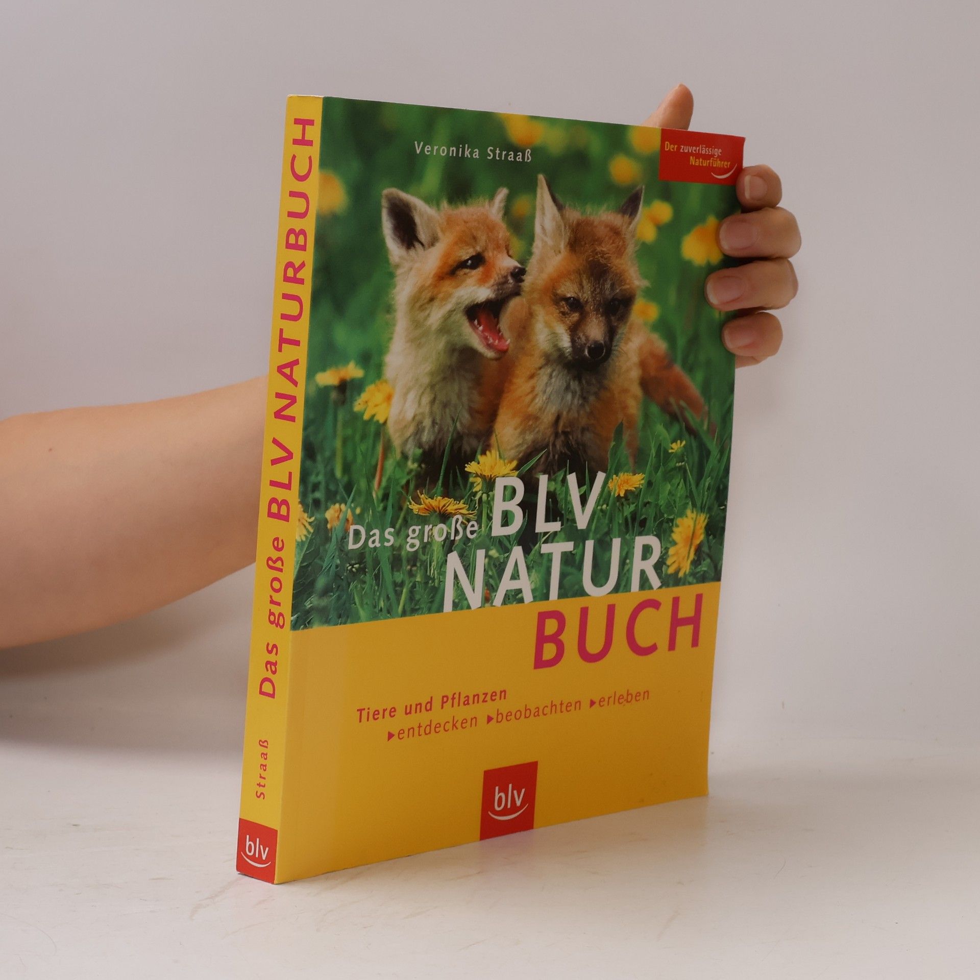 Veronika Straaß Das große BLV-Natur-Buch