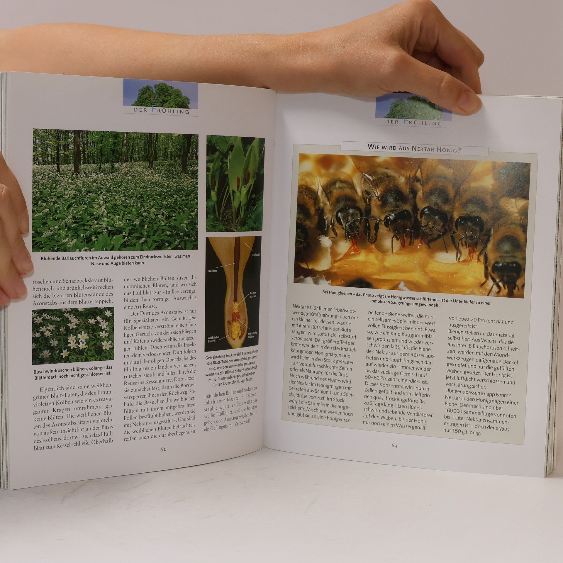 Veronika Straass Das große BLV-Natur-Buch