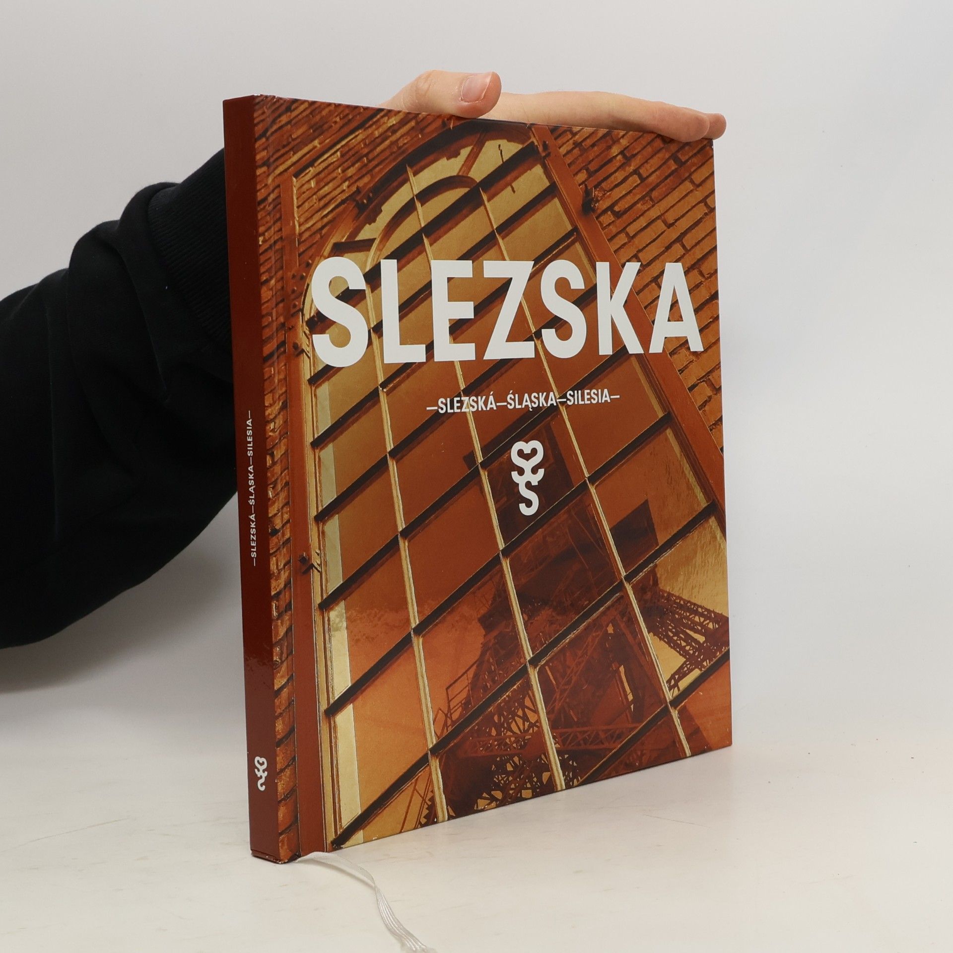 Radovan Šťastný Slezská. Śląska. Silesia