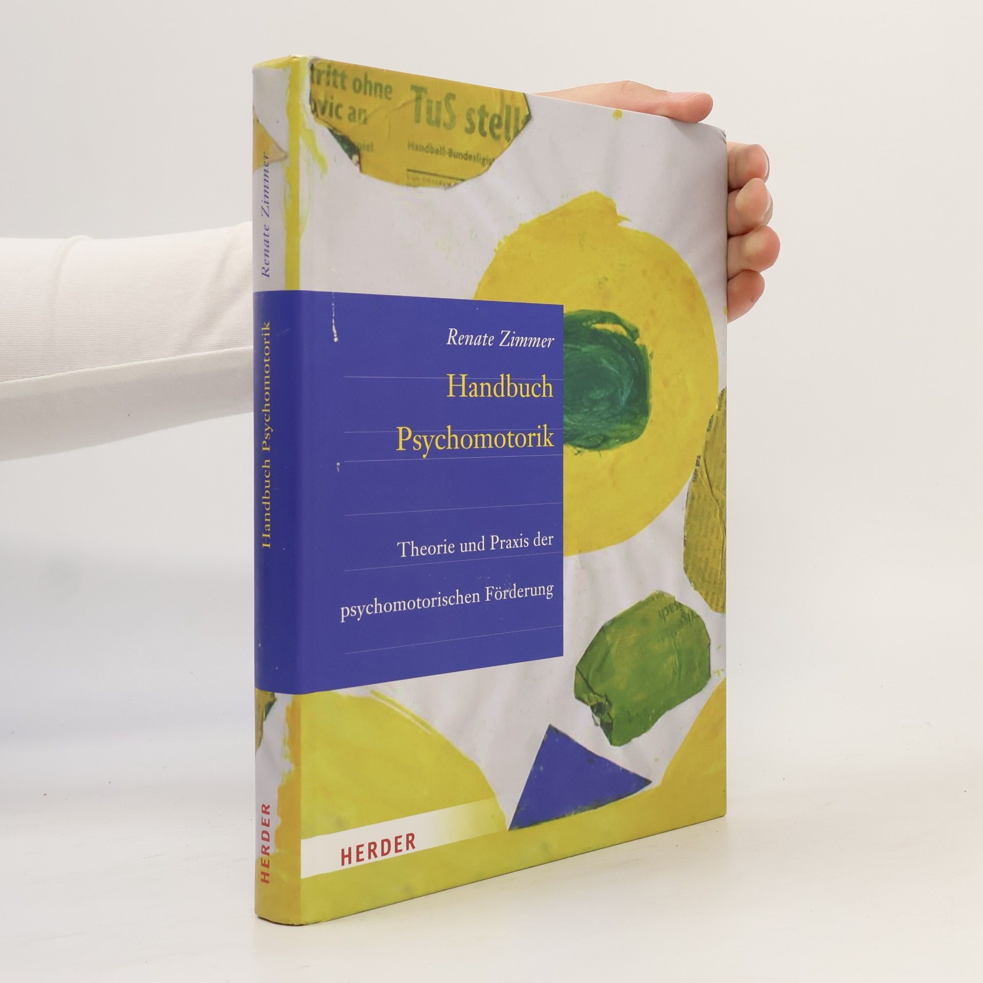 Renate Zimmer Handbuch der Psychomotorik