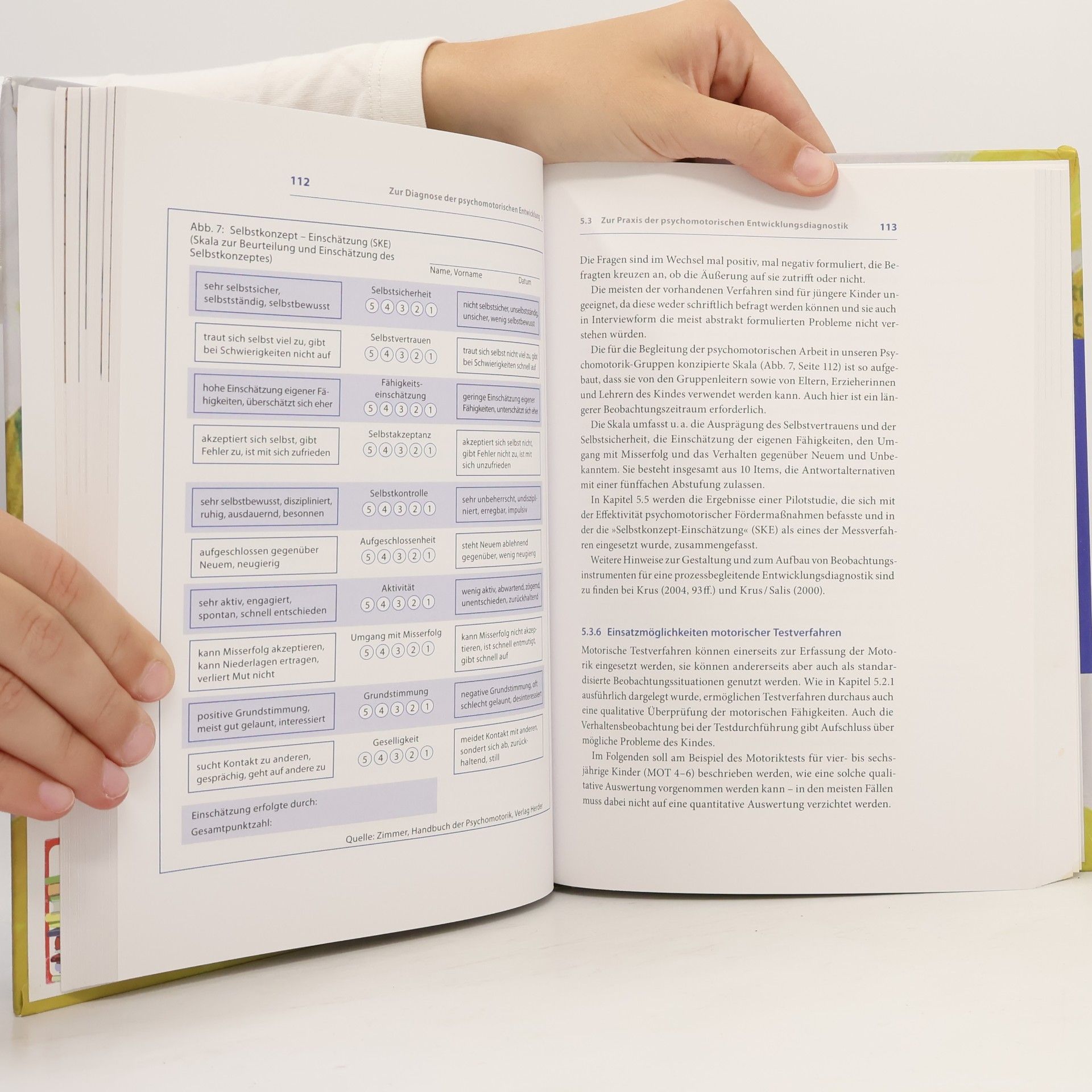 Renate Zimmer Handbuch der Psychomotorik