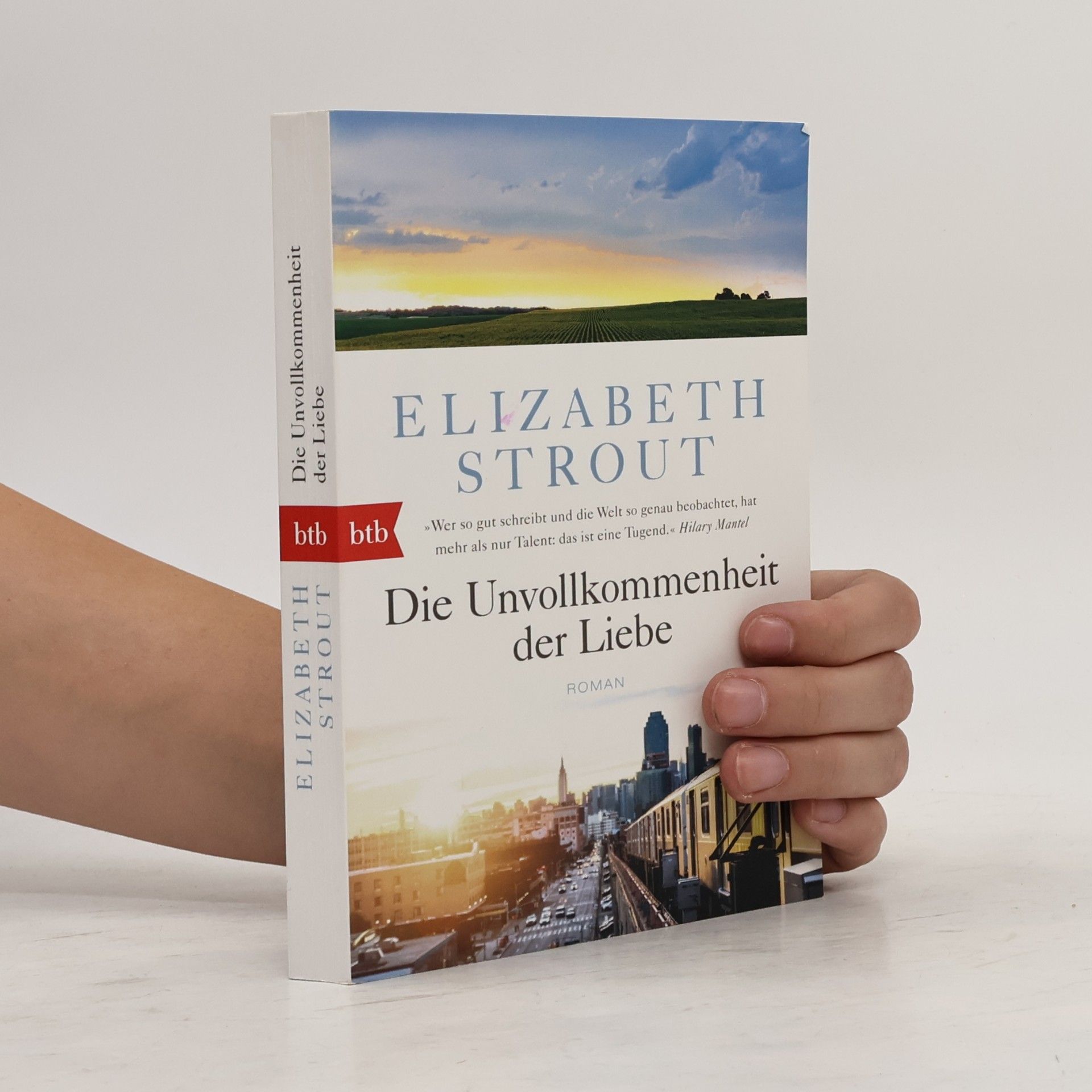 Elizabeth Strout Die Unvollkommenheit der Liebe