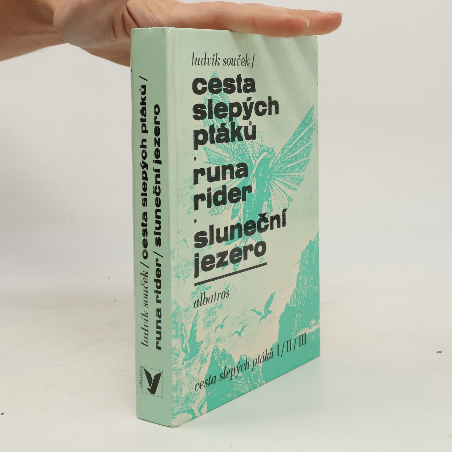 Ludvík Souček Cesta slepých ptáků. Runa rider. Sluneční jezero