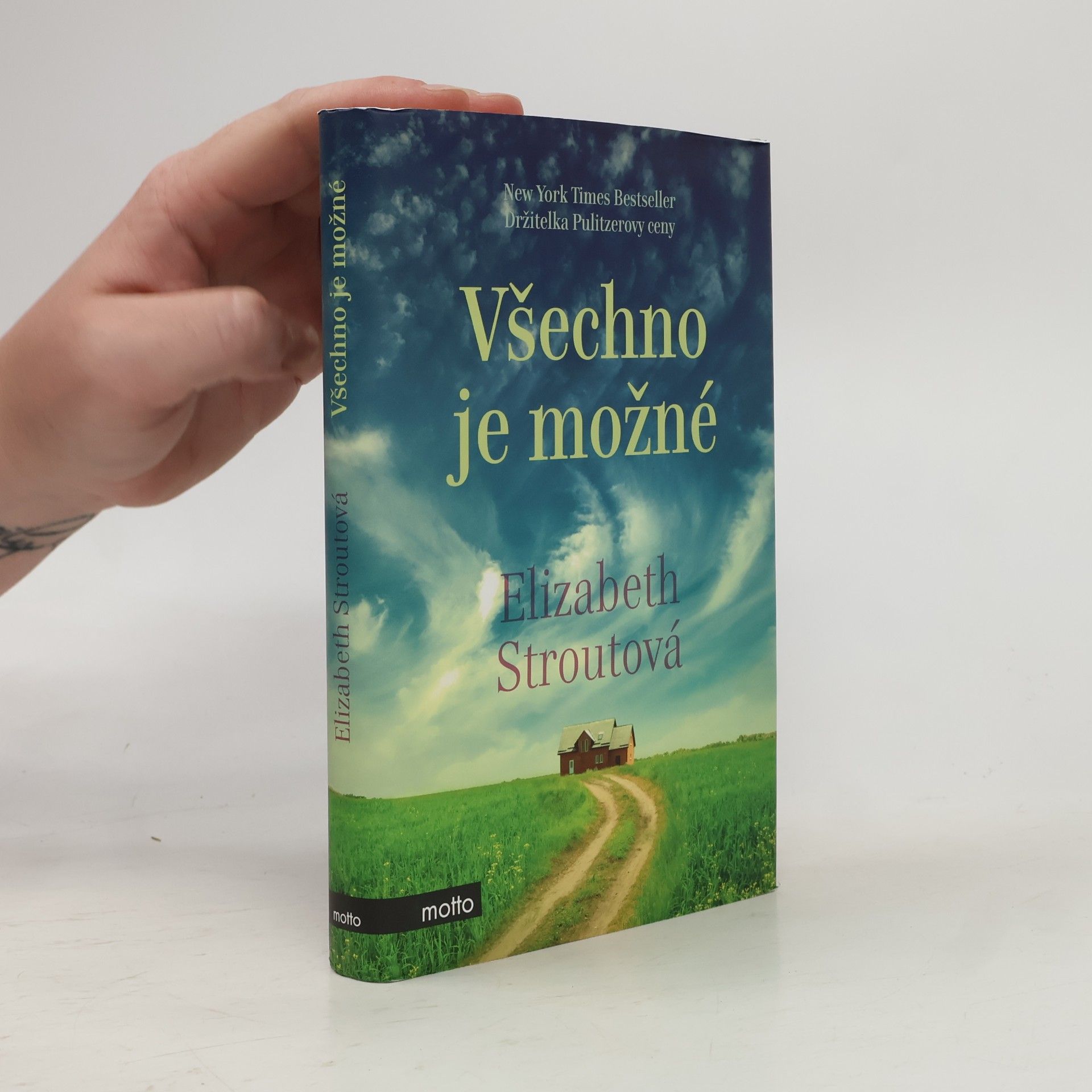 Elizabeth Strout Všechno je možné