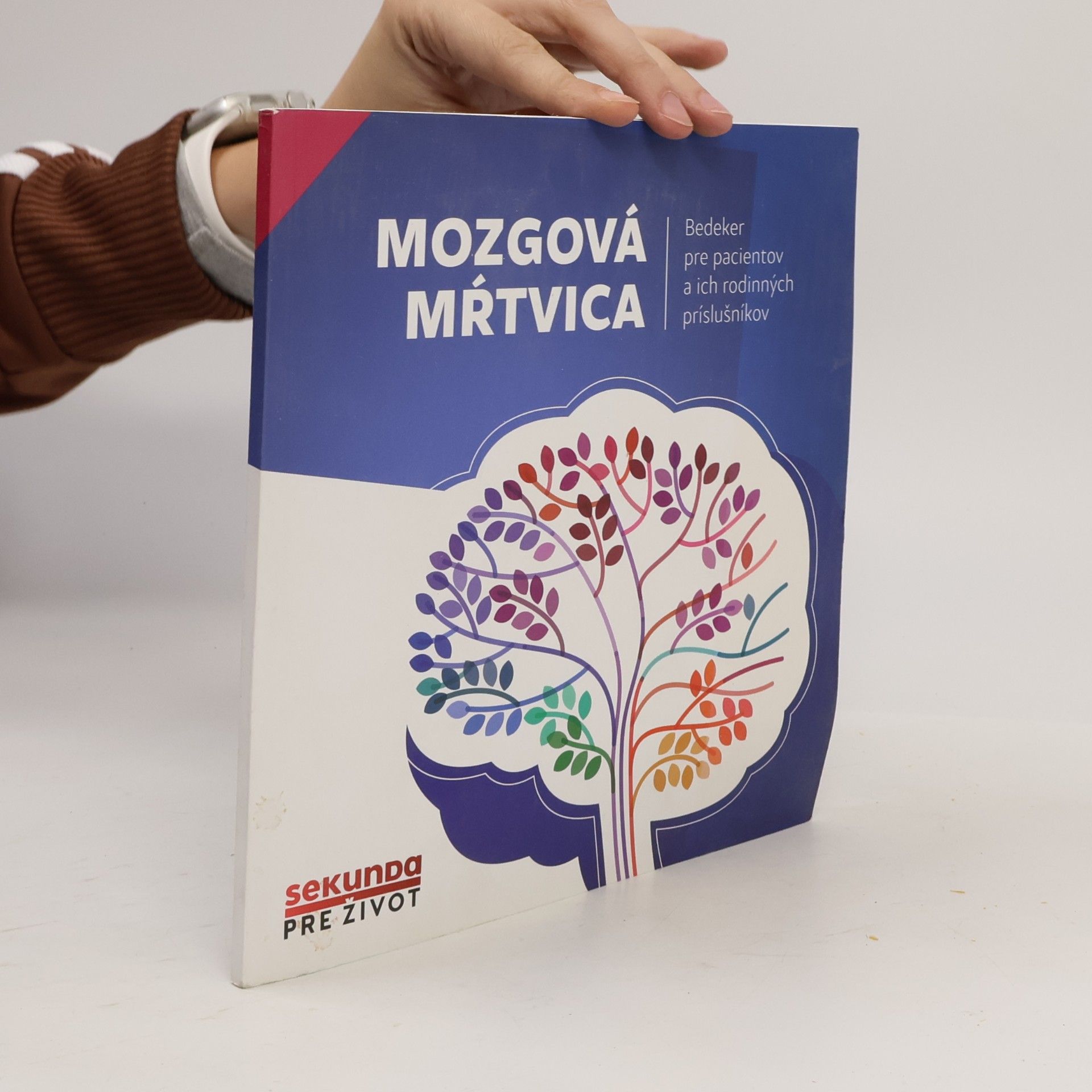 Autorenkollektiv Mozgová mŕtvica