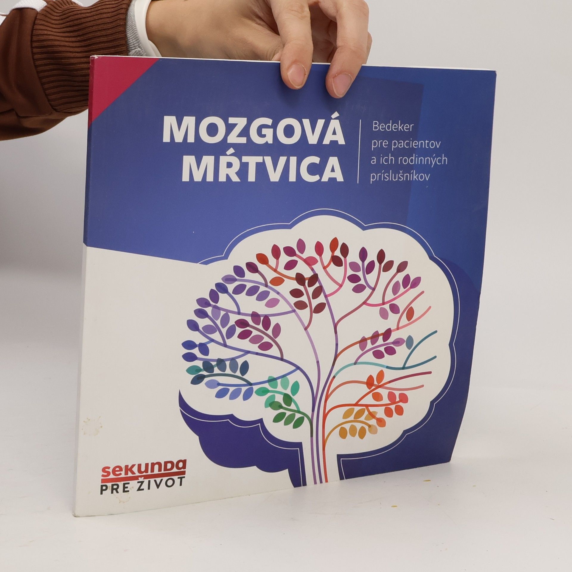 Autorenkollektiv Mozgová mŕtvica