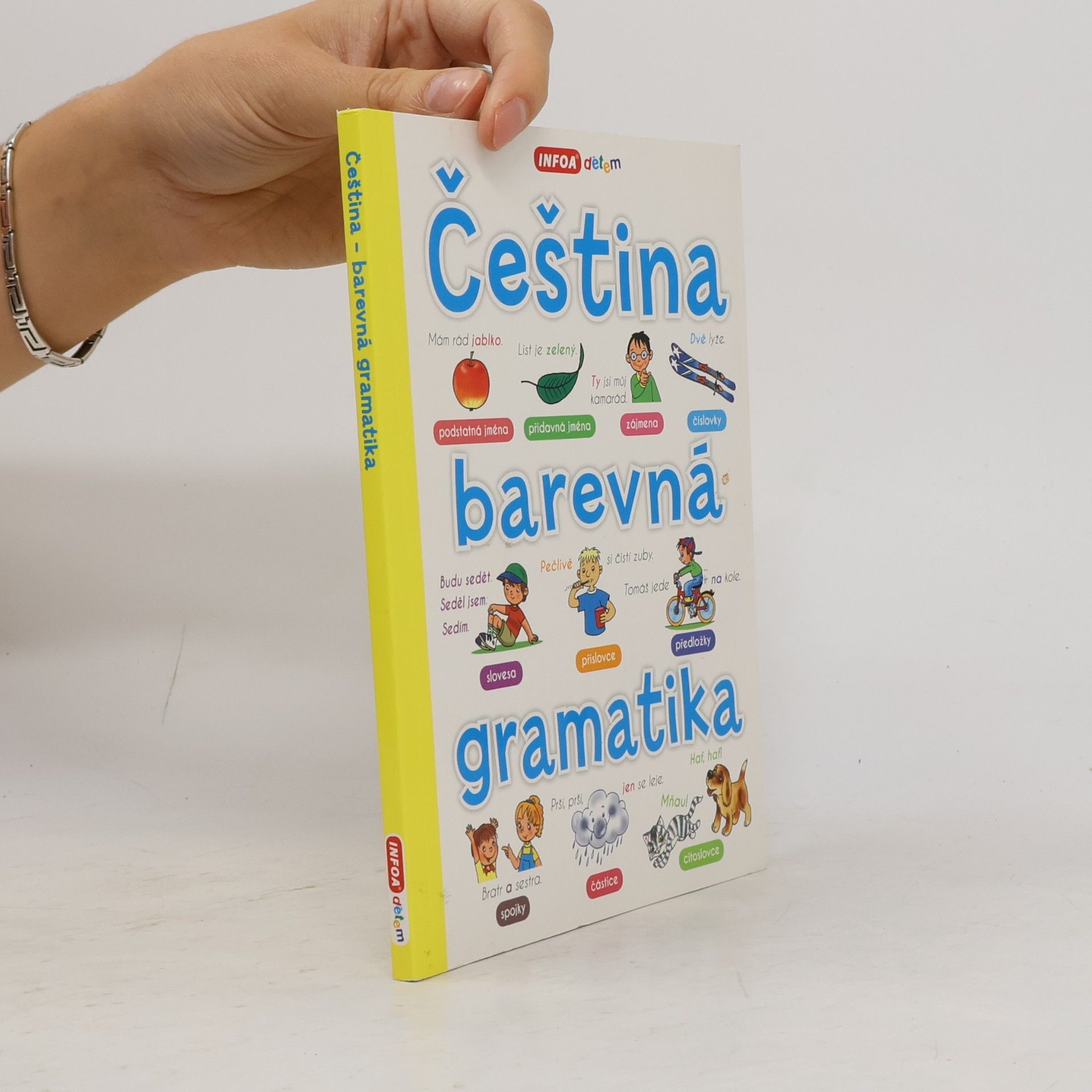 Antonín Šplíchal Čeština - barevná gramatika