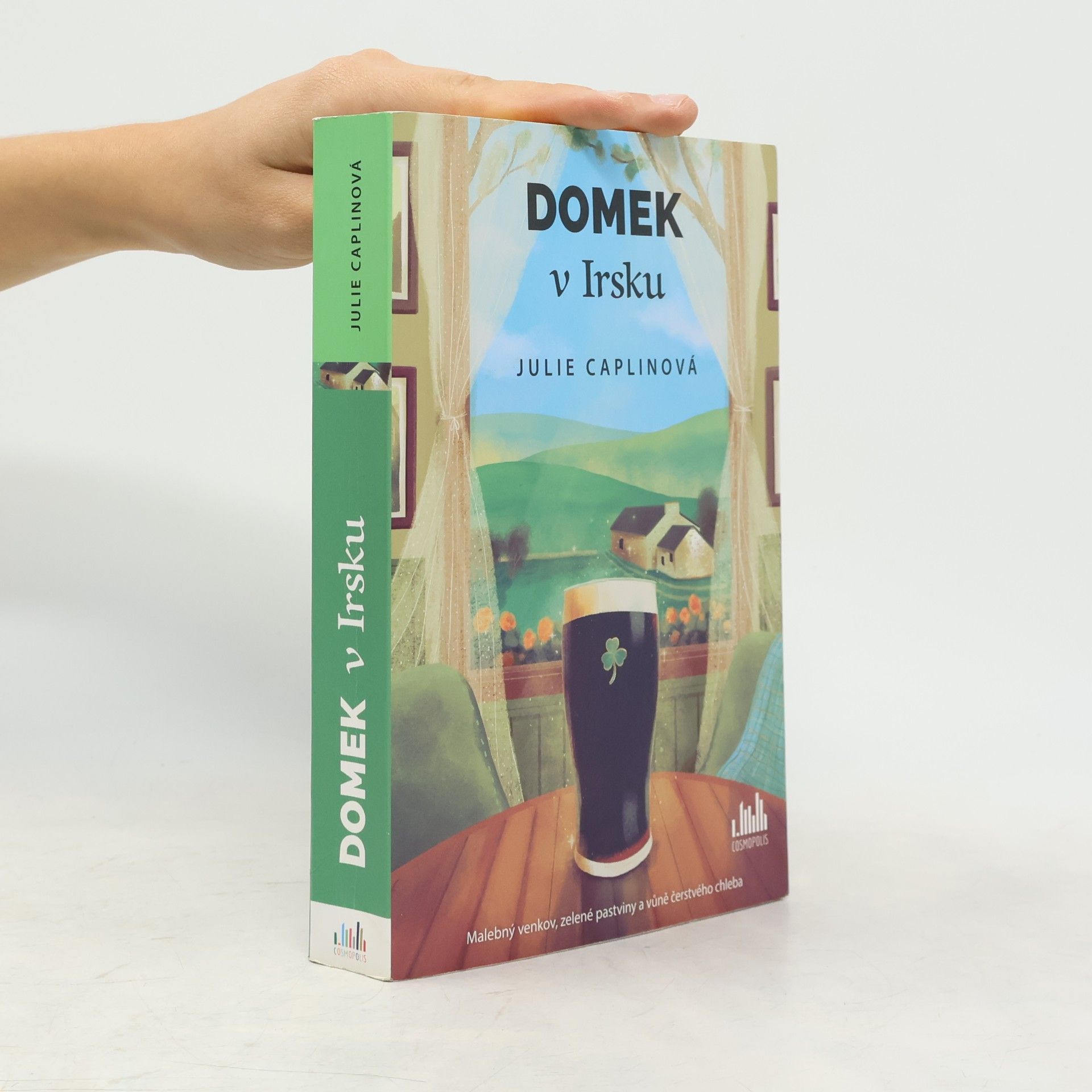 Julie Caplin Domek v Irsku