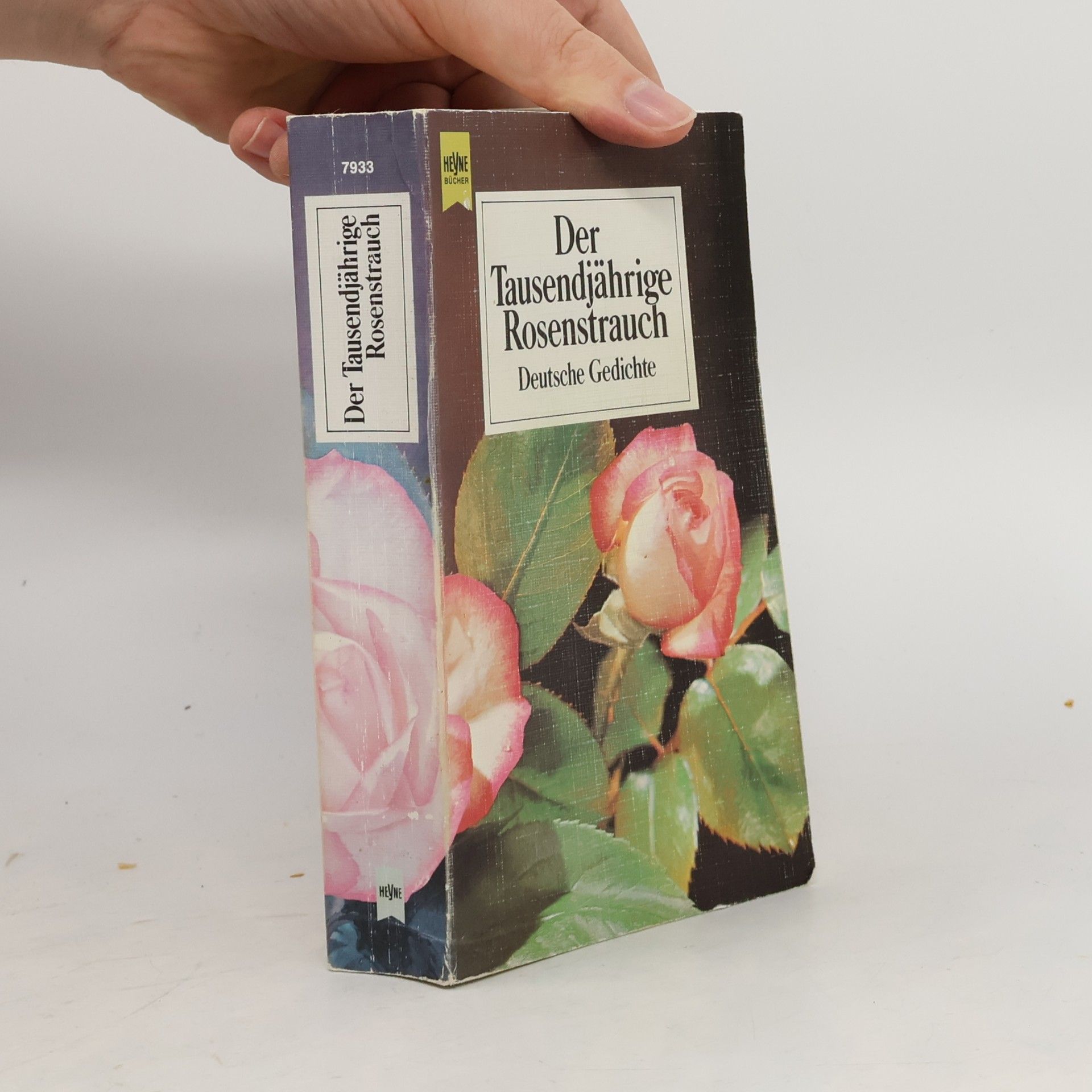 Felix Braun Der tausendjährige Rosenstrauch