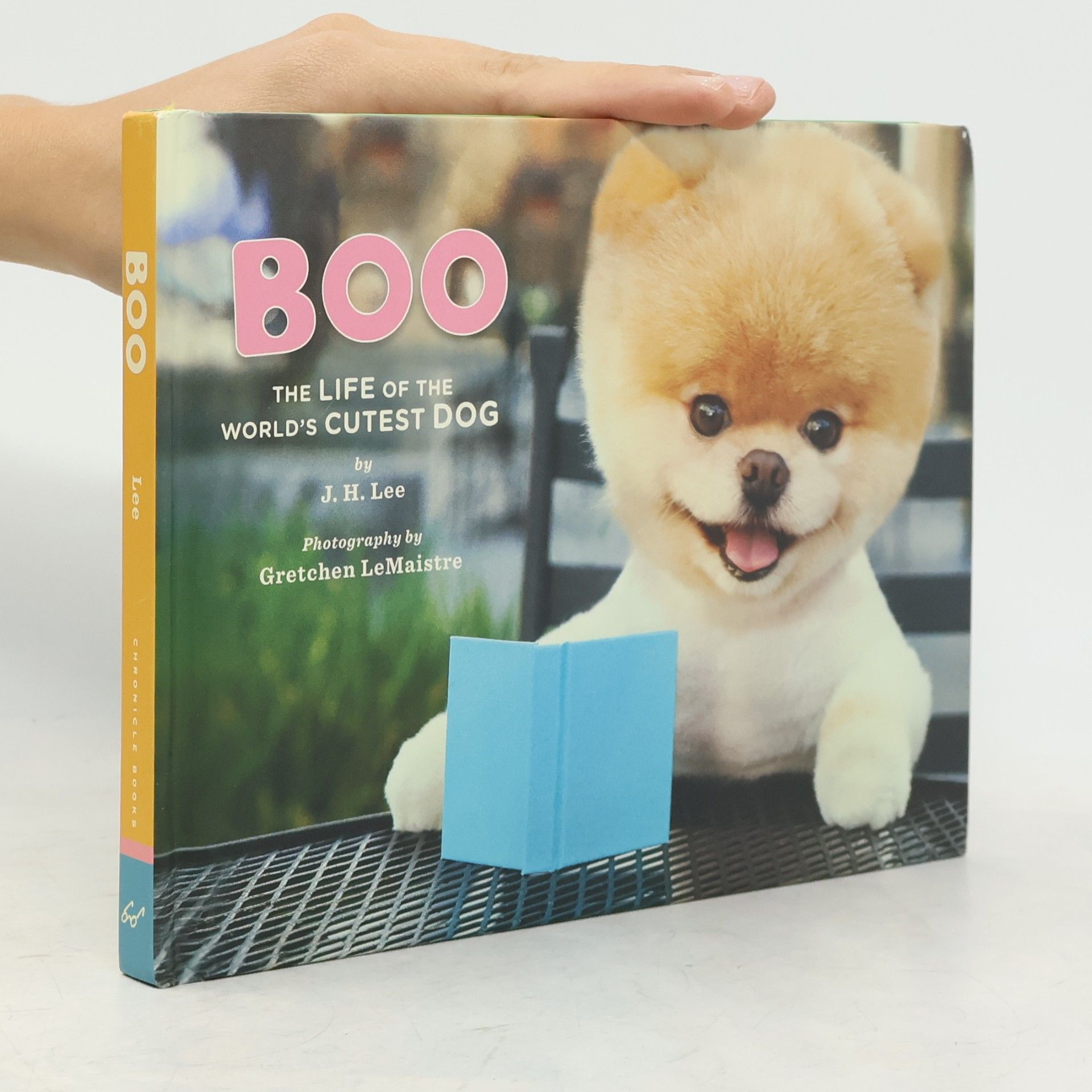 Gretchen LeMaistre Boo