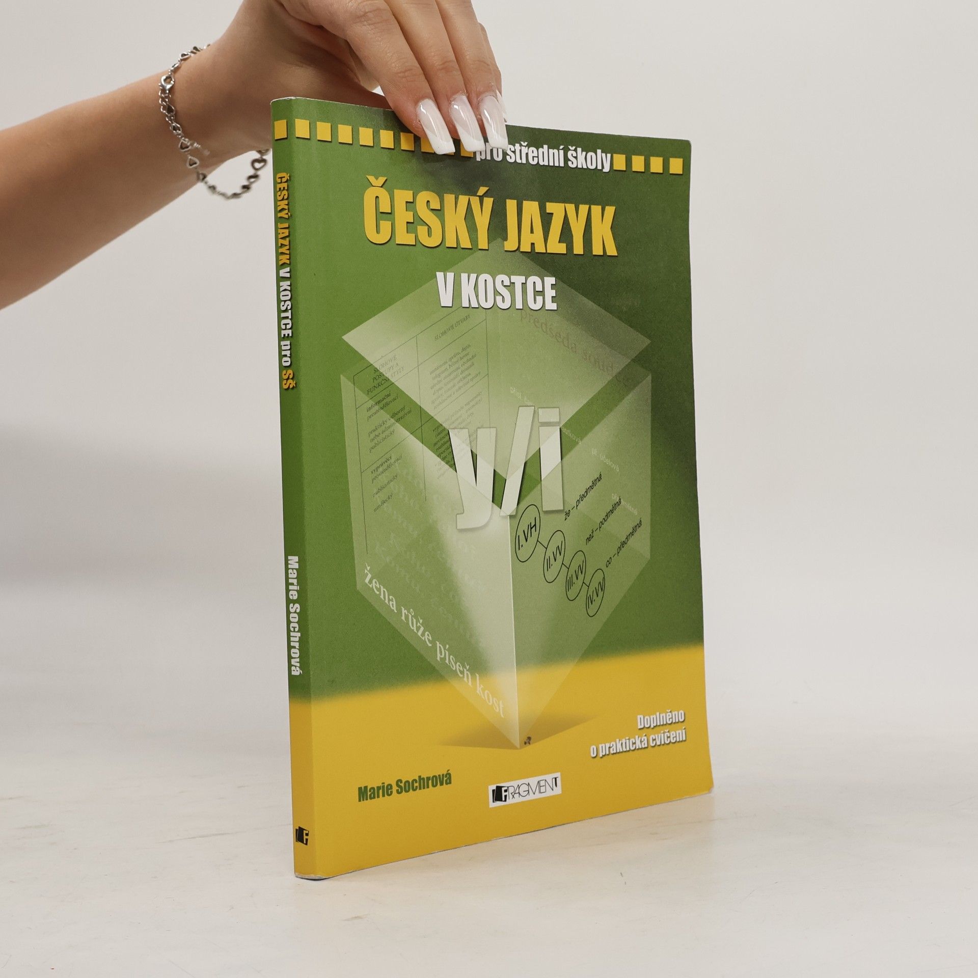Marie Sochrová Český jazyk v kostce : pro střední školy