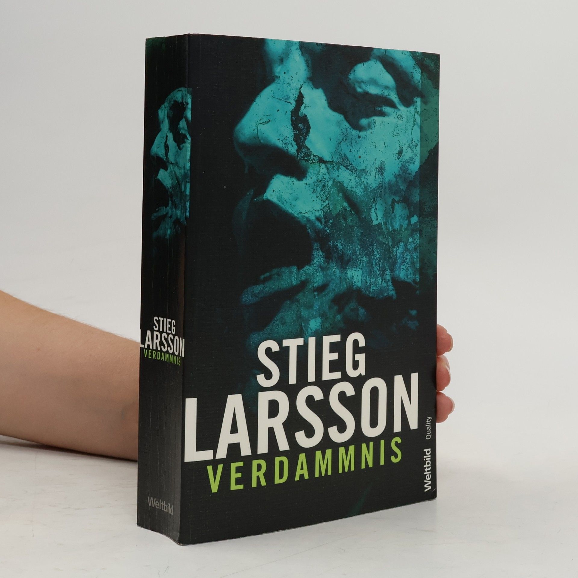Stieg Larsson Verdammnis