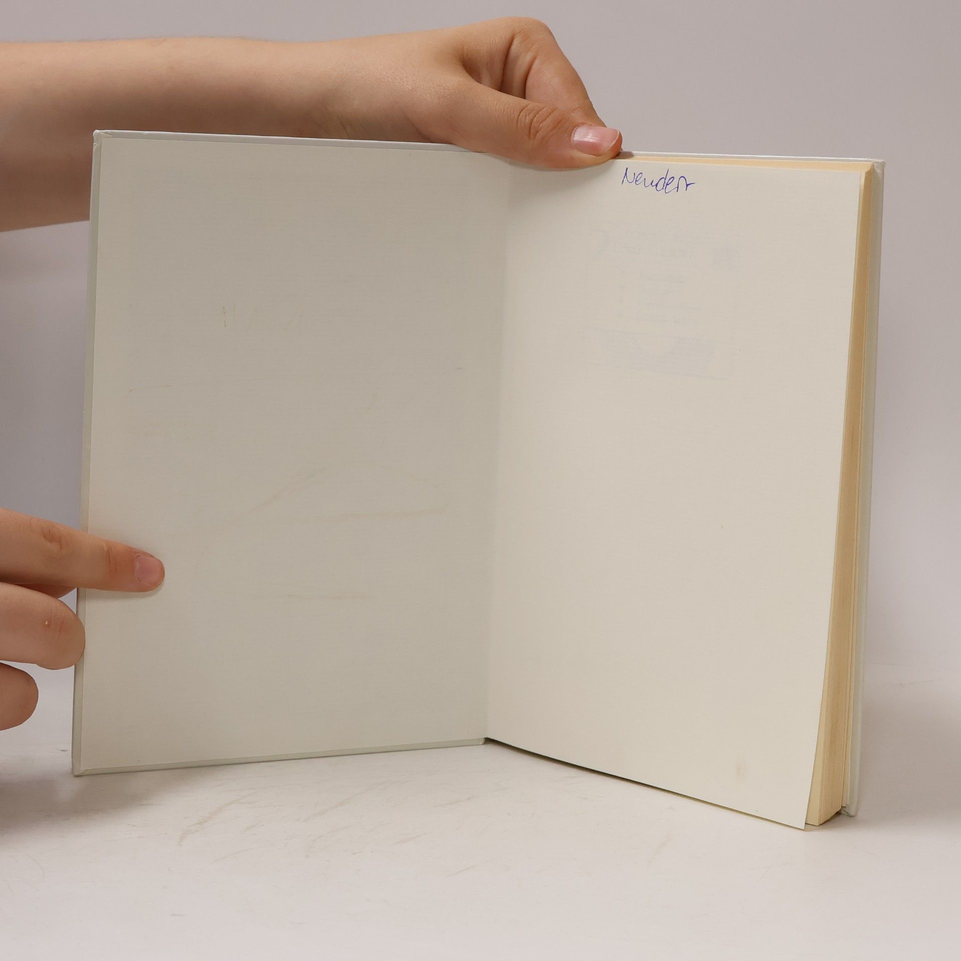 Rolf Rettich Von ruppigen, struppigen Seeräubern