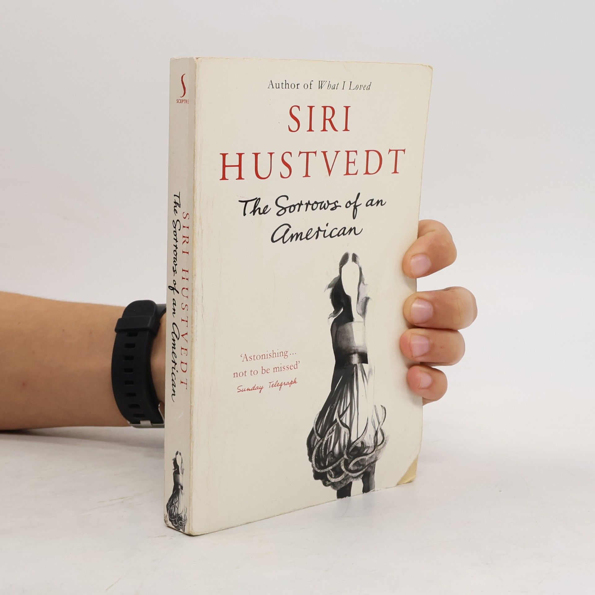 Siri Hustvedt The Sorrows of an American