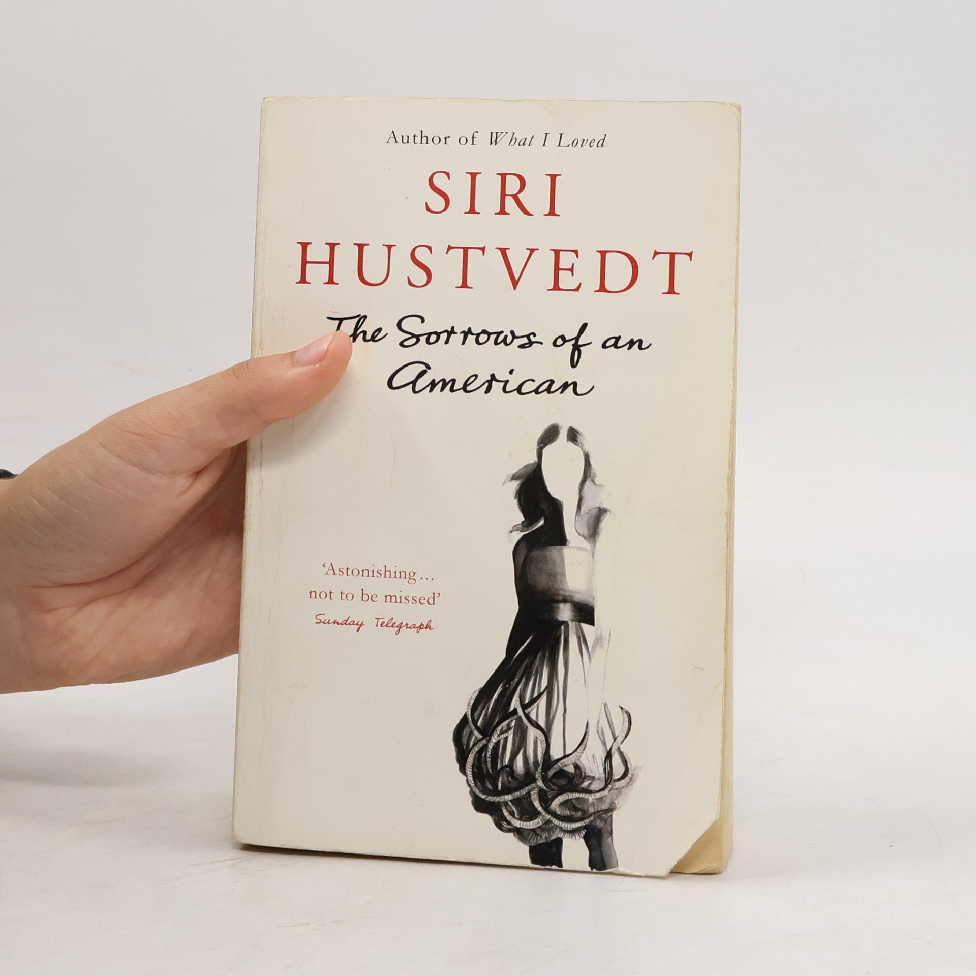 Siri Hustvedt The Sorrows of an American