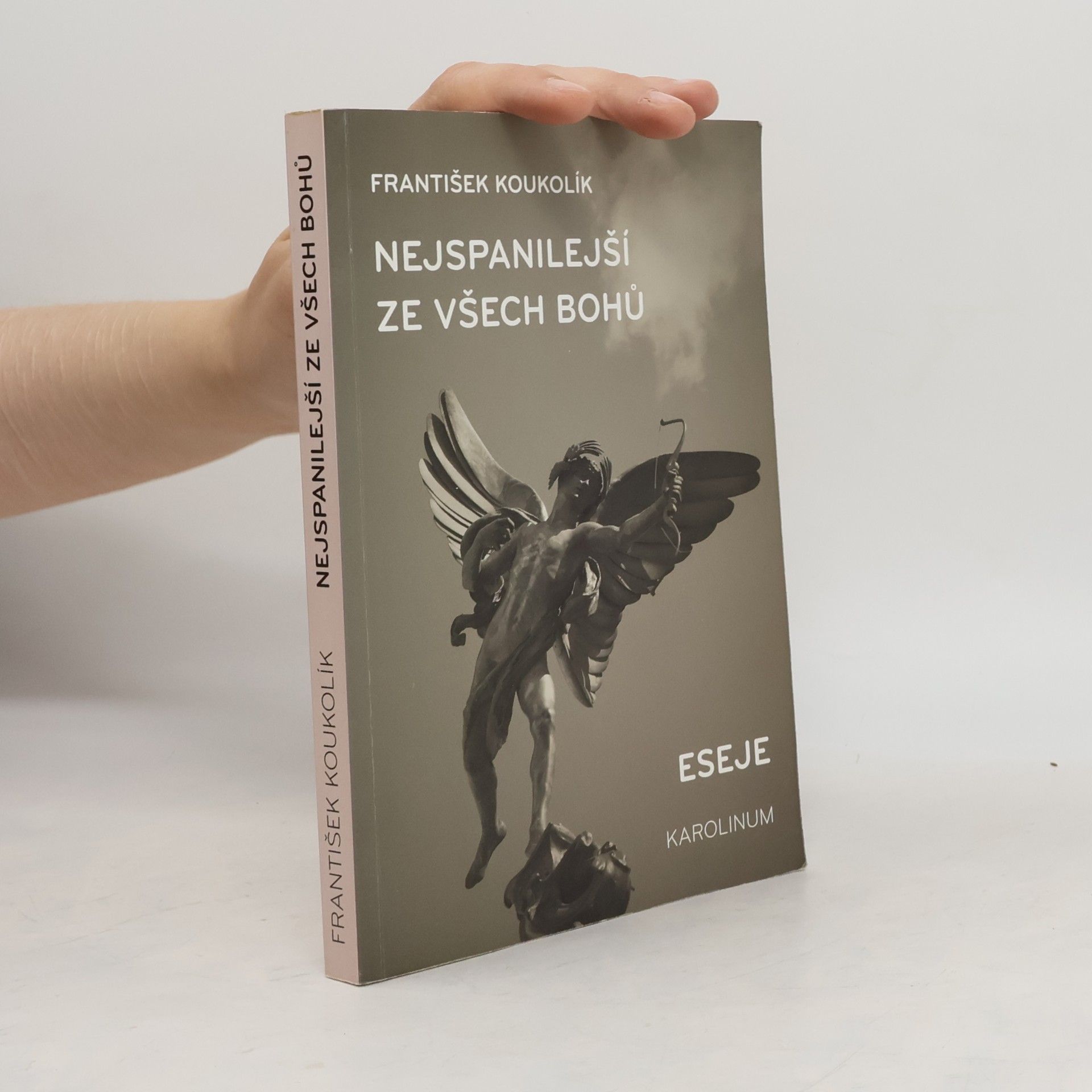 František Koukolík Nejspanilejší ze všech bohů : eseje