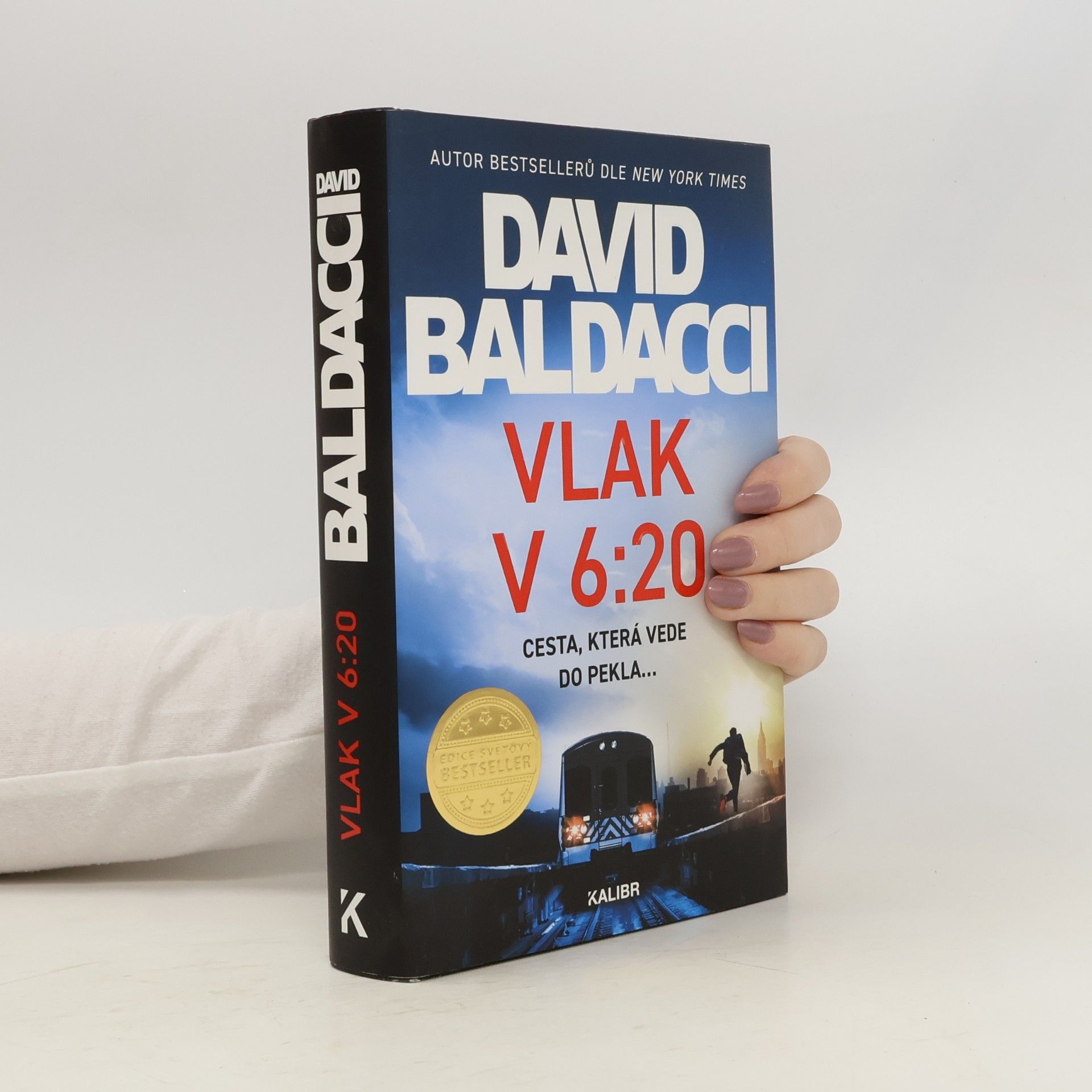 David Baldacci Vlak v 6:20