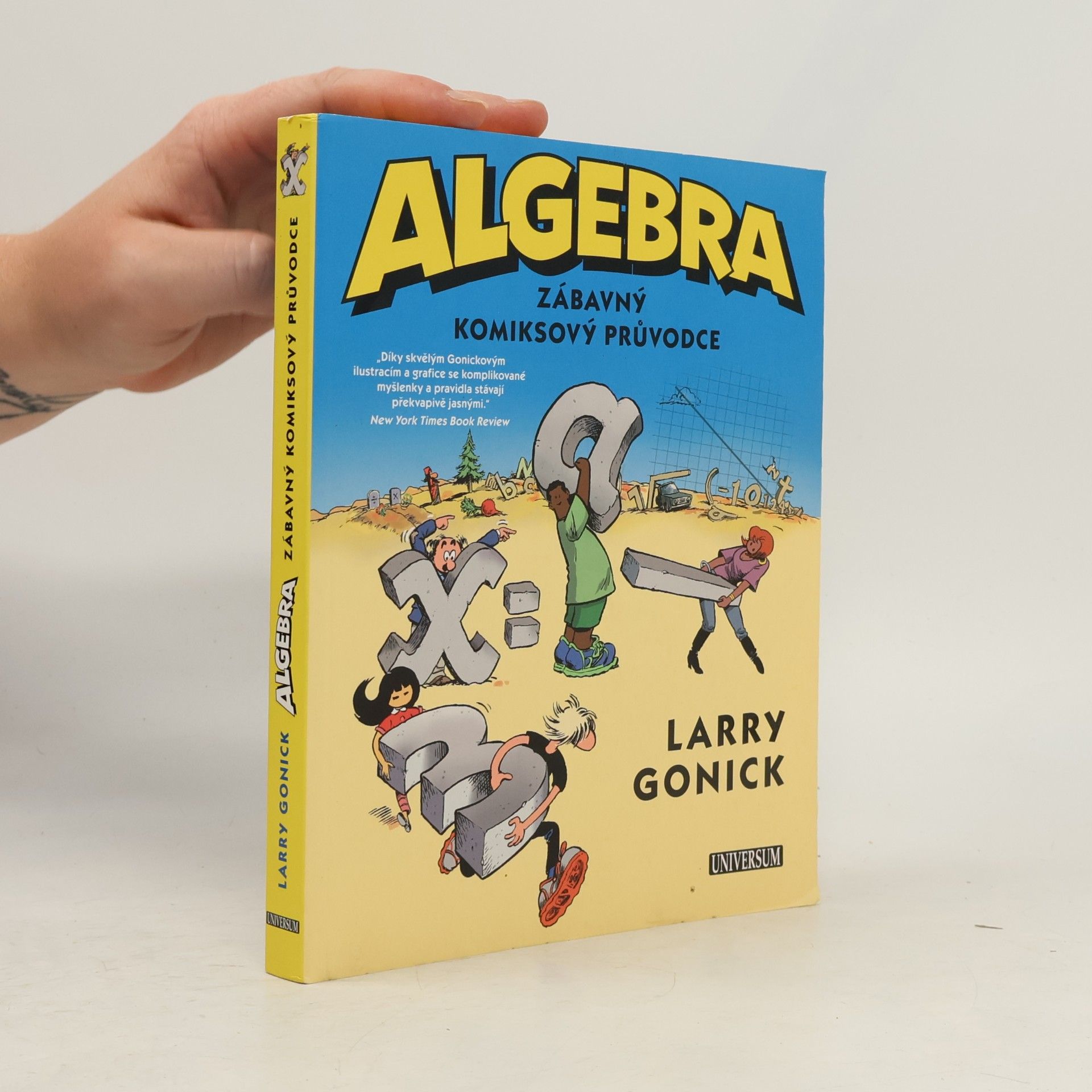 Larry Gonick Algebra. Zábavný komiksový průvodce