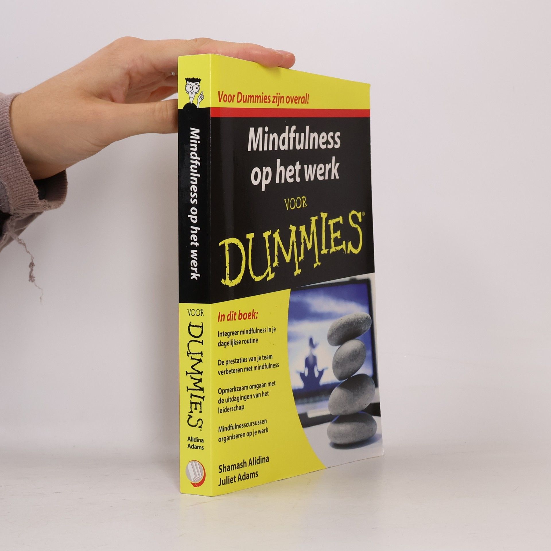 Juliet Adams Mindfulness op het werk voor Dummies