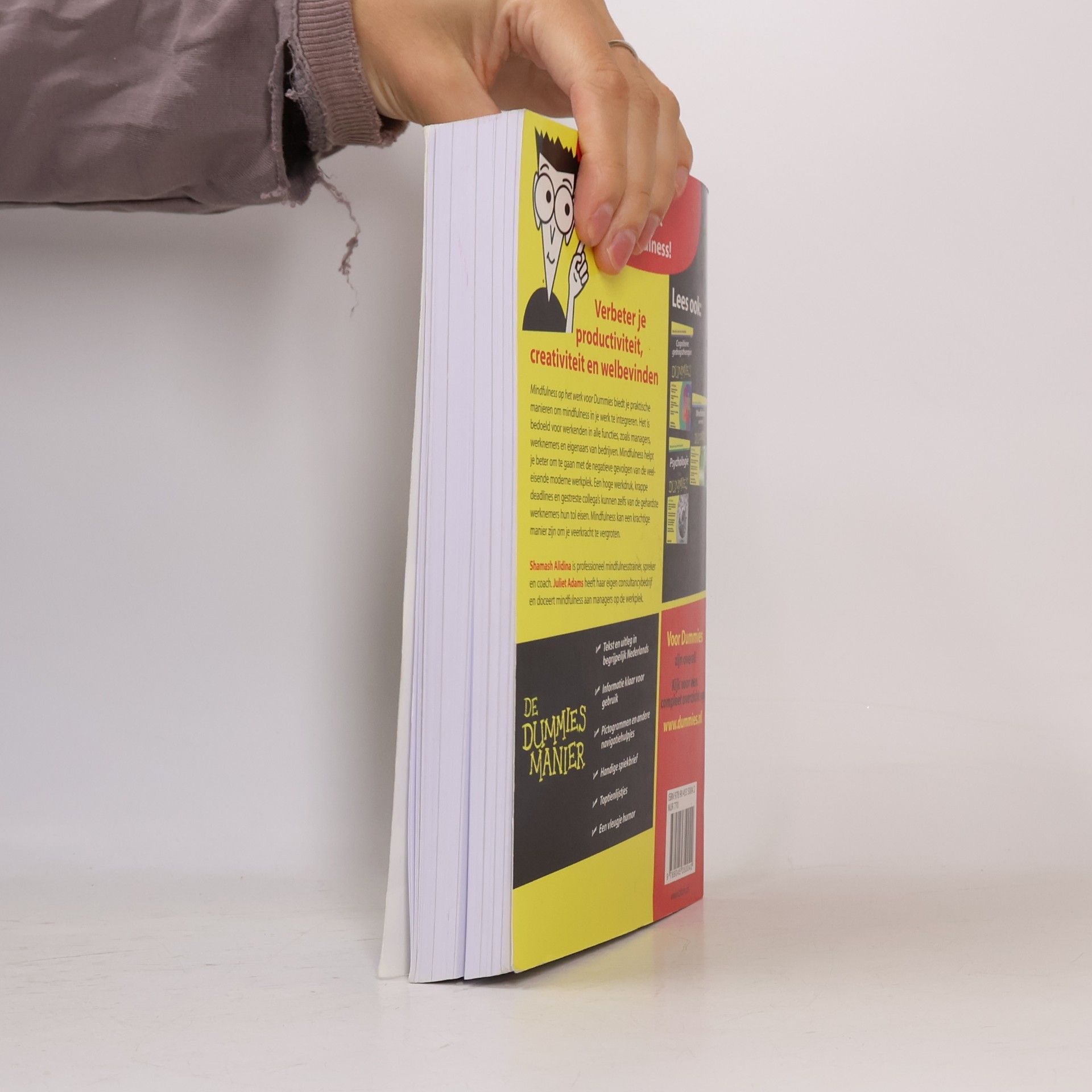 Shamash Alidina Mindfulness op het werk voor Dummies