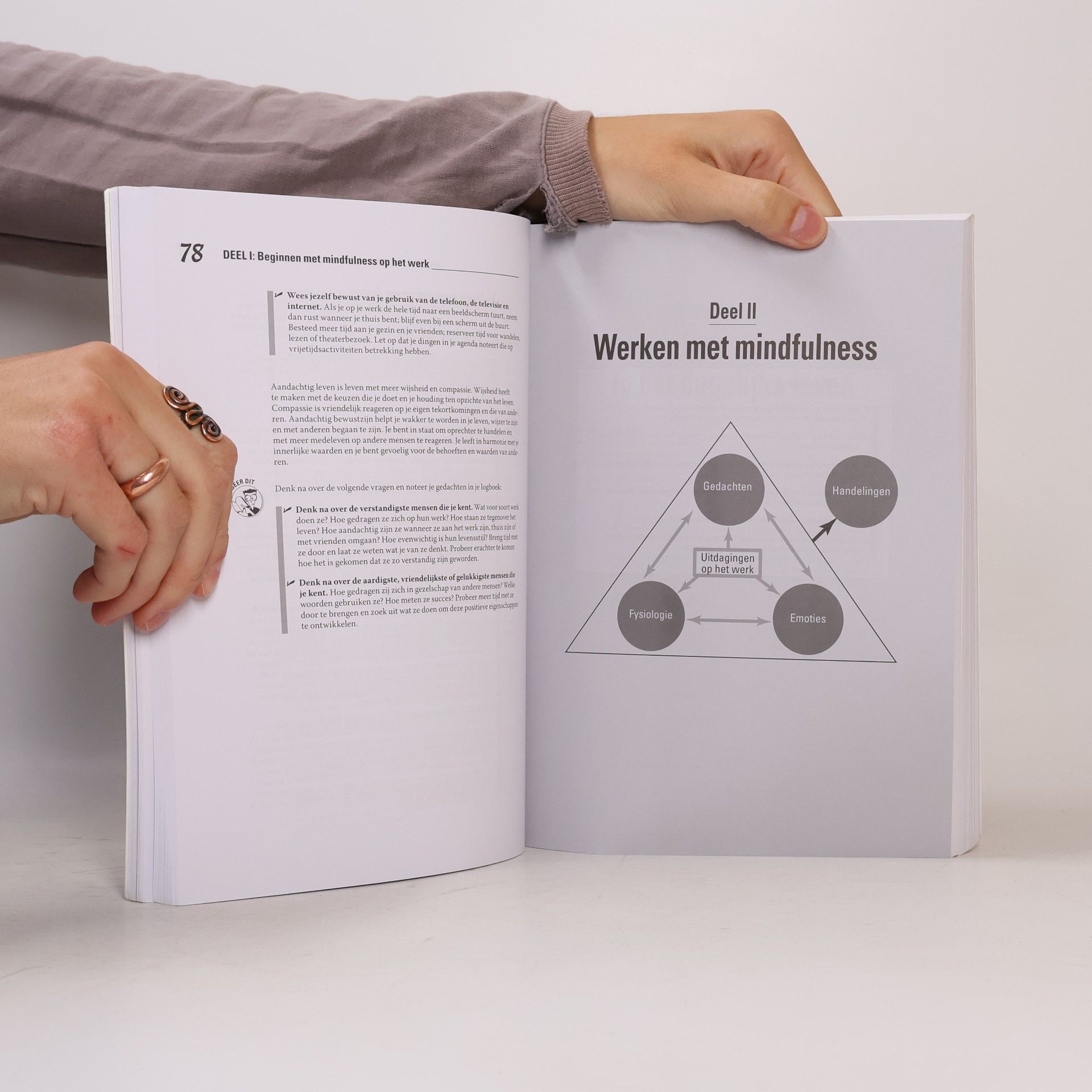 Shamash Alidina Mindfulness op het werk voor Dummies