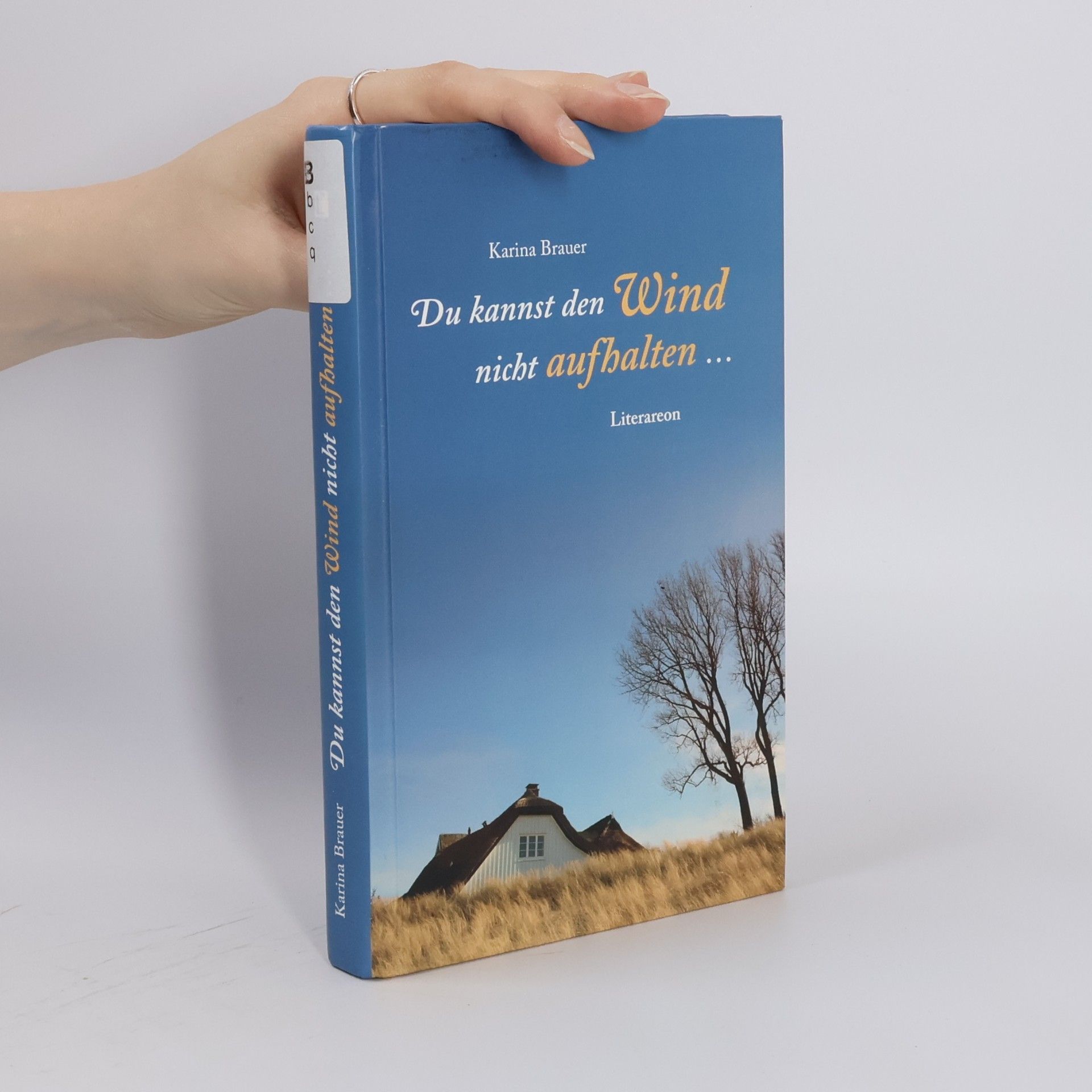 Karina Brauer Du kannst den Wind nicht aufhalten ...