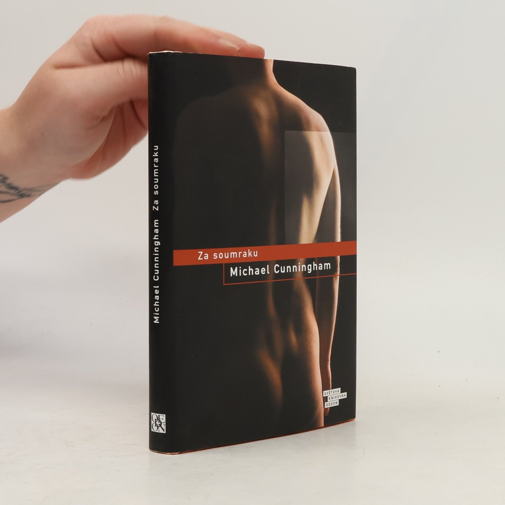Michael Cunningham Za soumraku