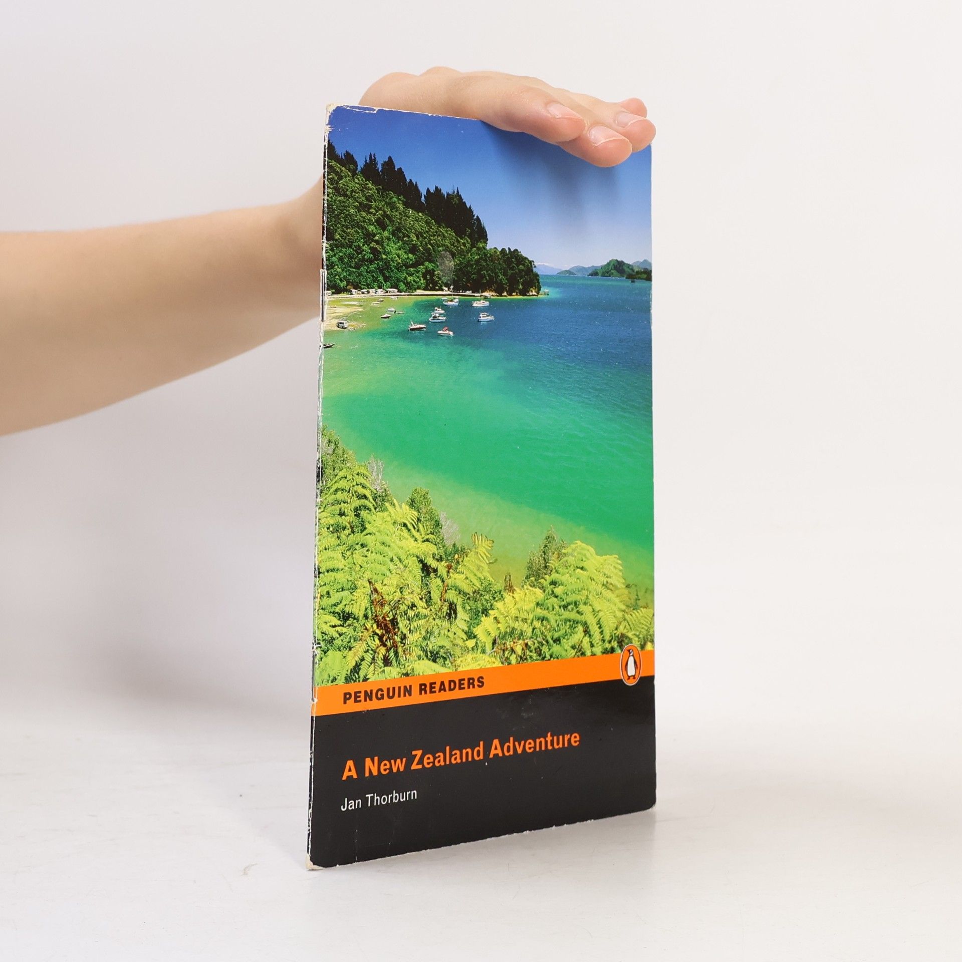 Jan Thorburn A New Zealand Adventure
