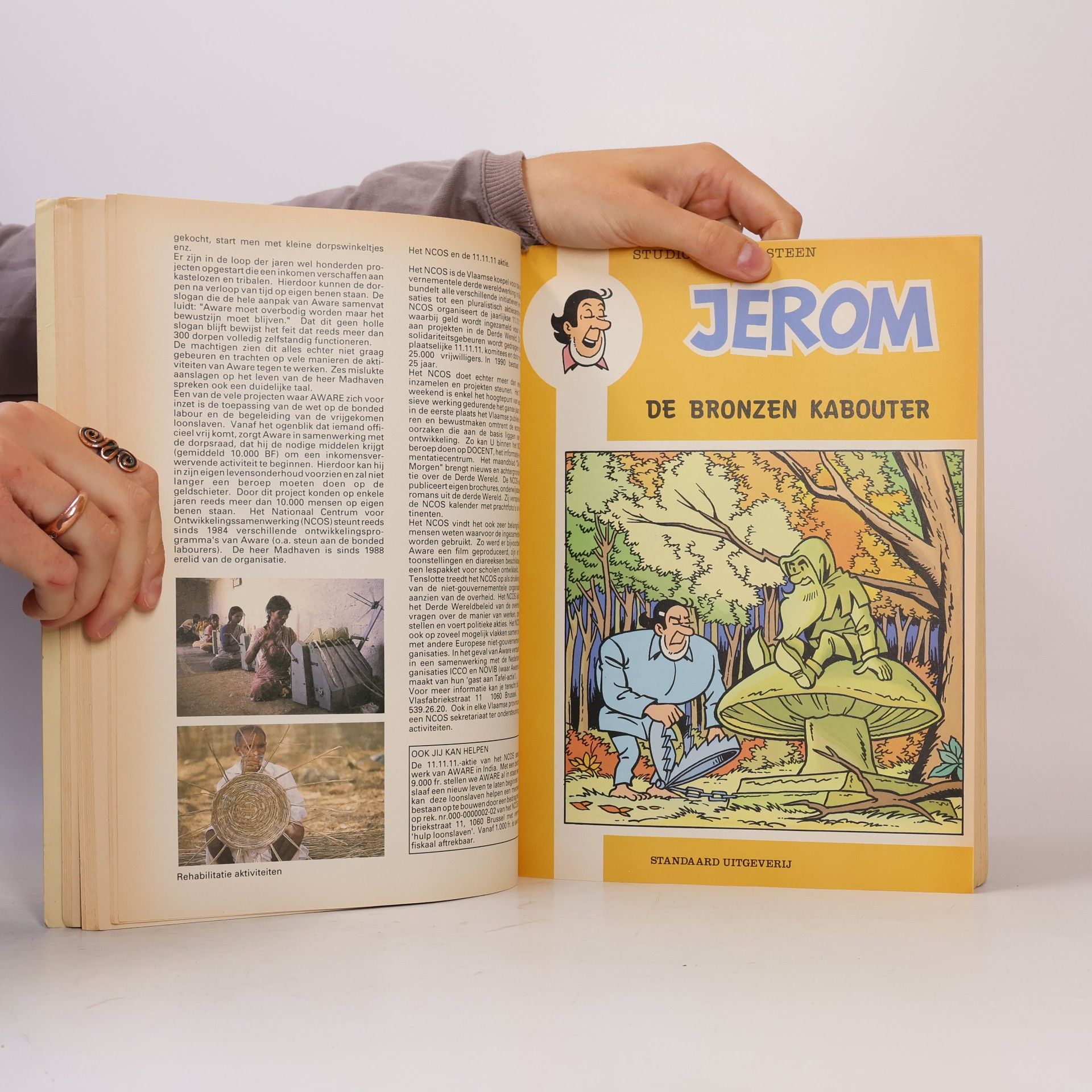 Suske en Wiske familiestripboek
