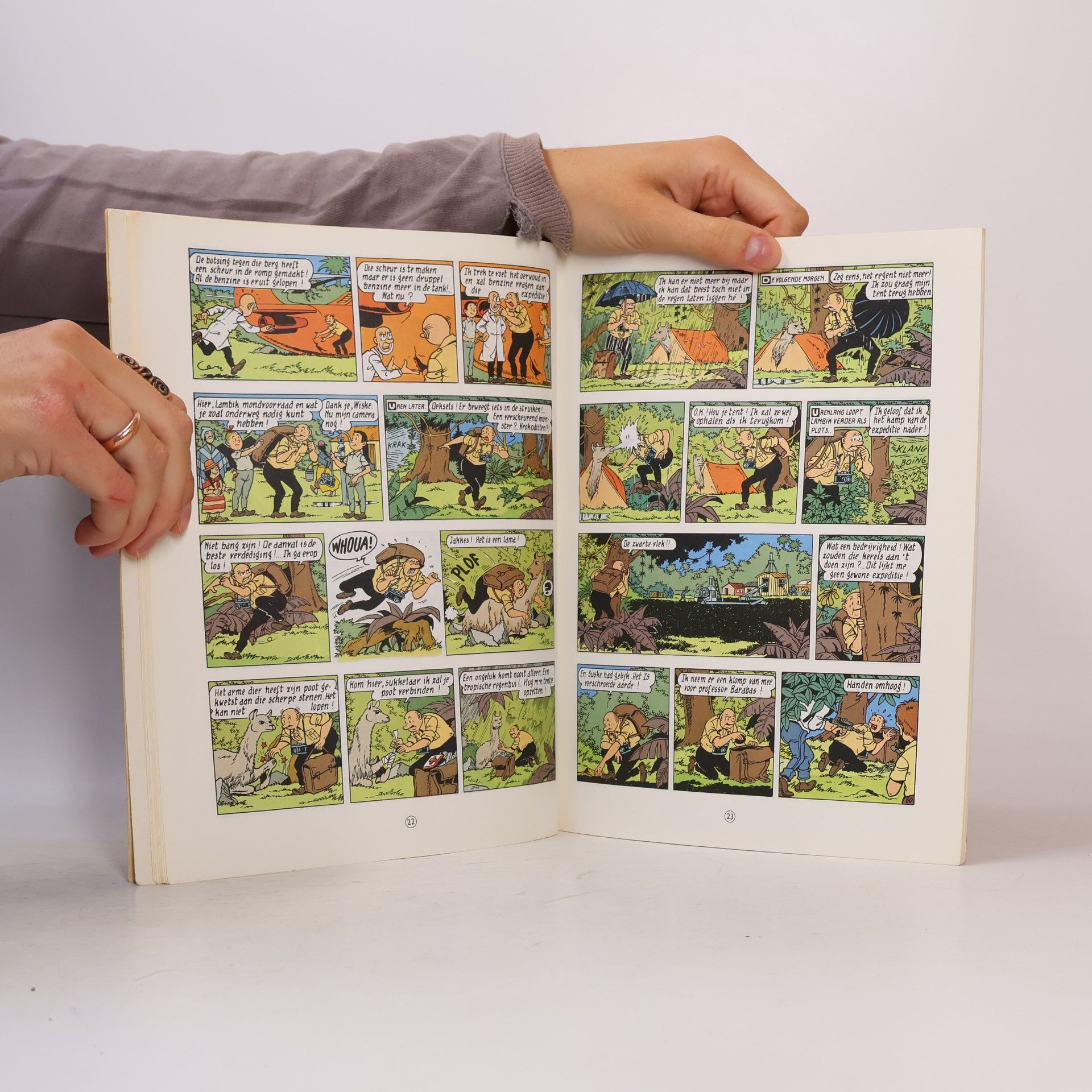 Paul Geerts De pompenplanters