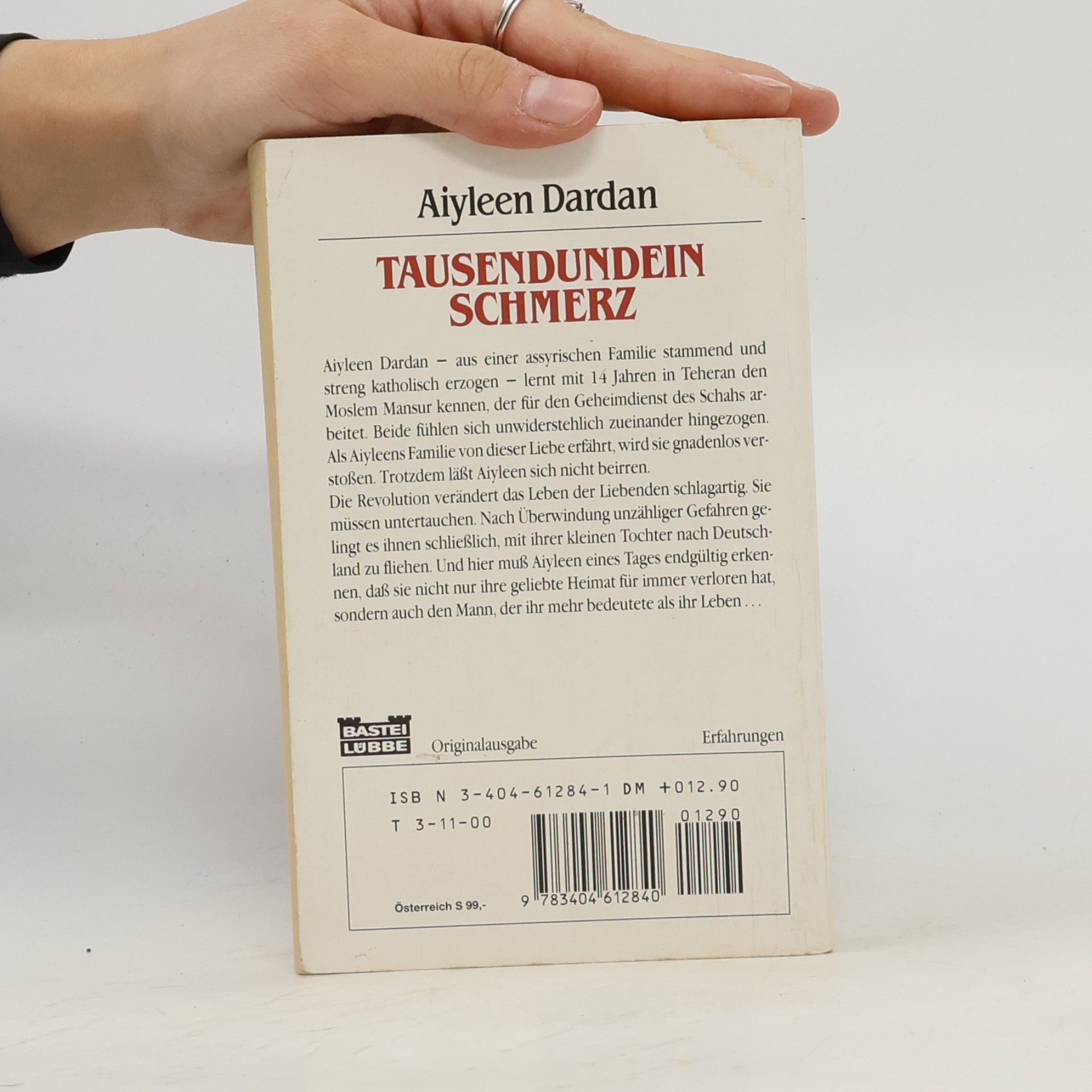 Aiyleen Dardan Tausendundein Schmerz