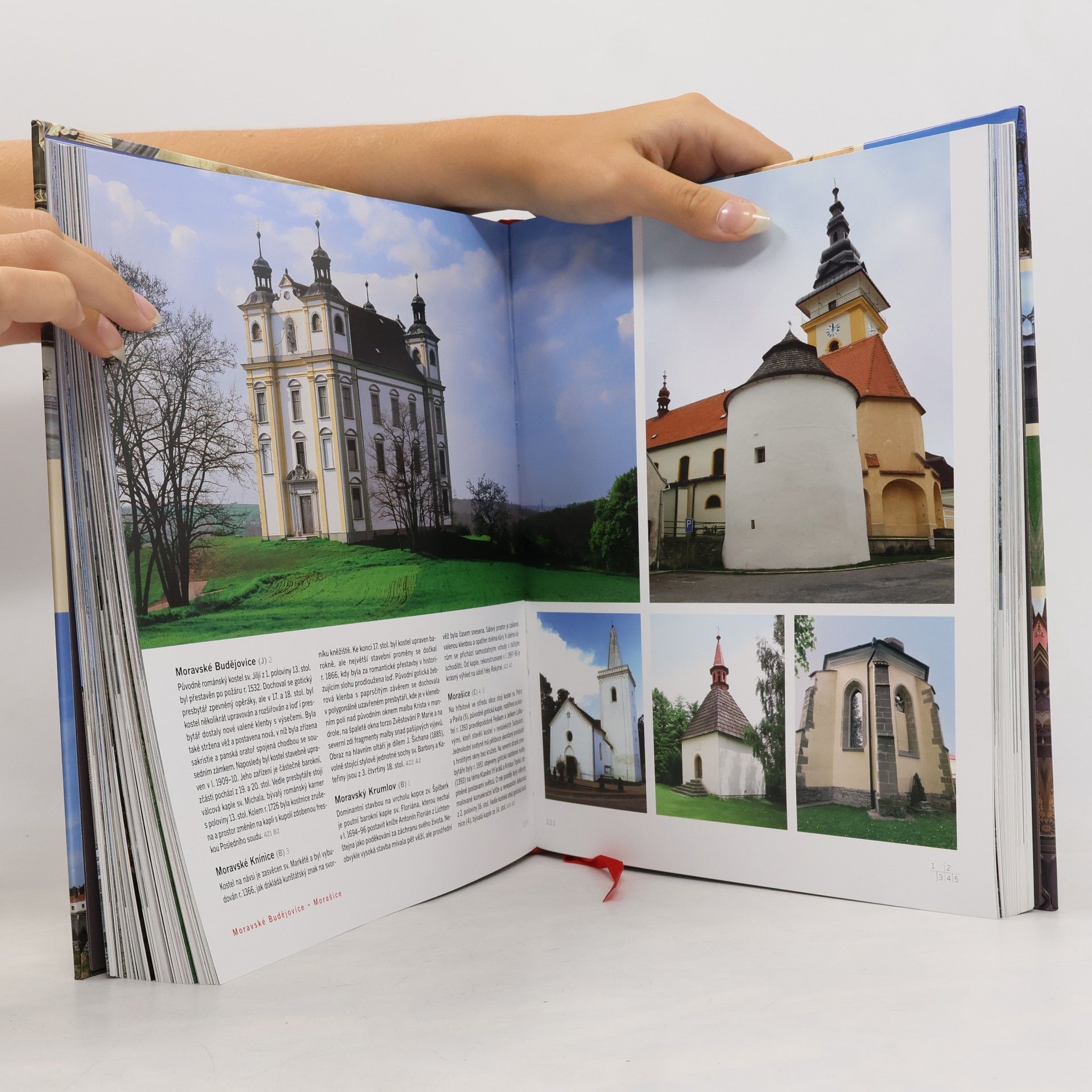 Autorenkollektiv Chrámy a kostely Čech, Moravy a Slezska