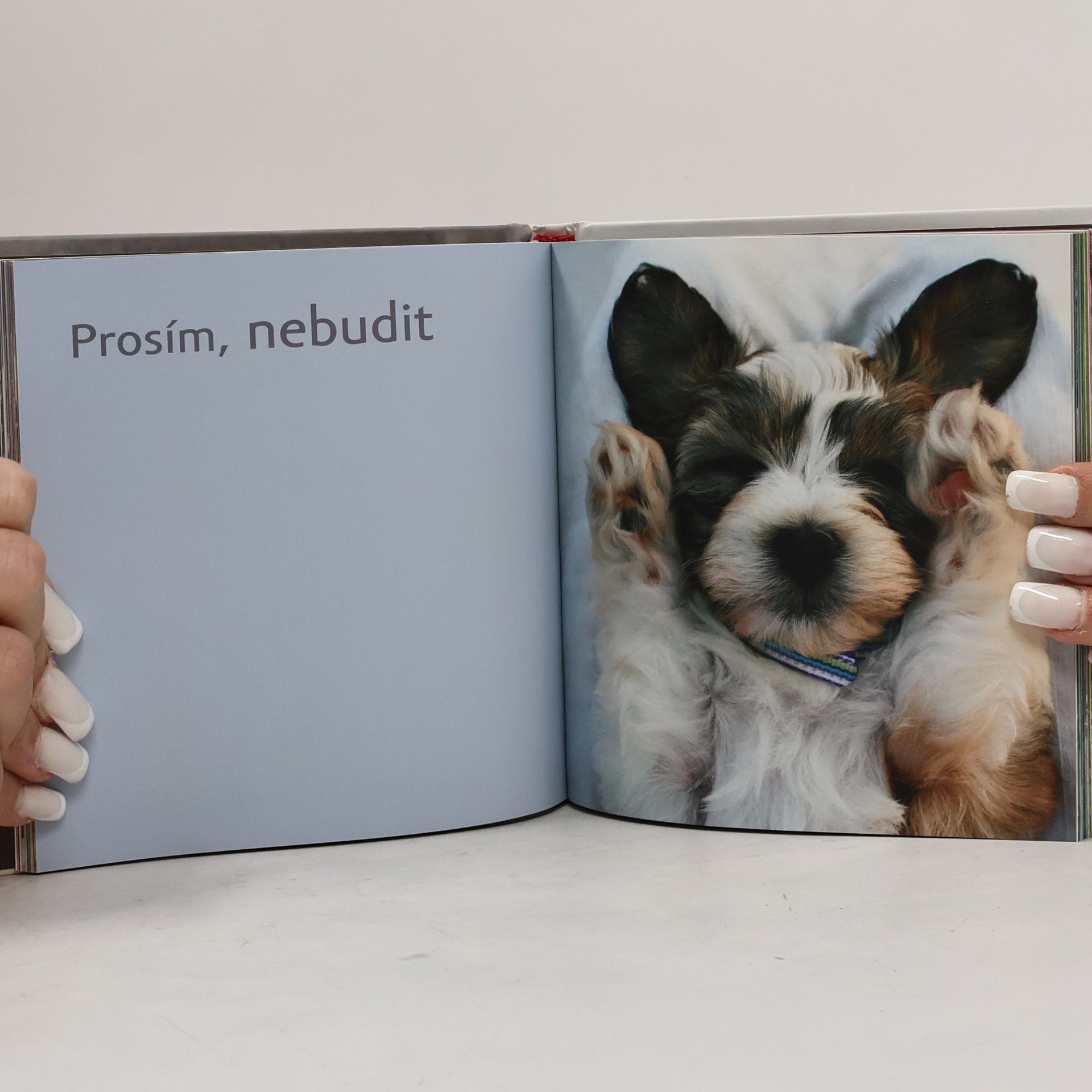 Milly Brown Máme rádi štěňata