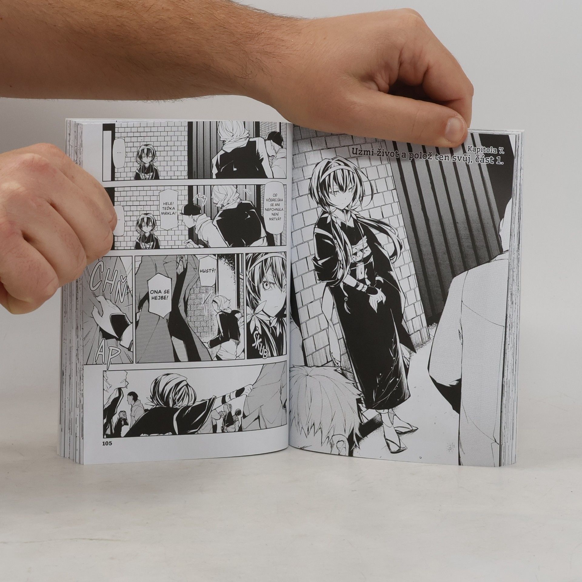 Kafka Asagiri Toulaví literáti 2