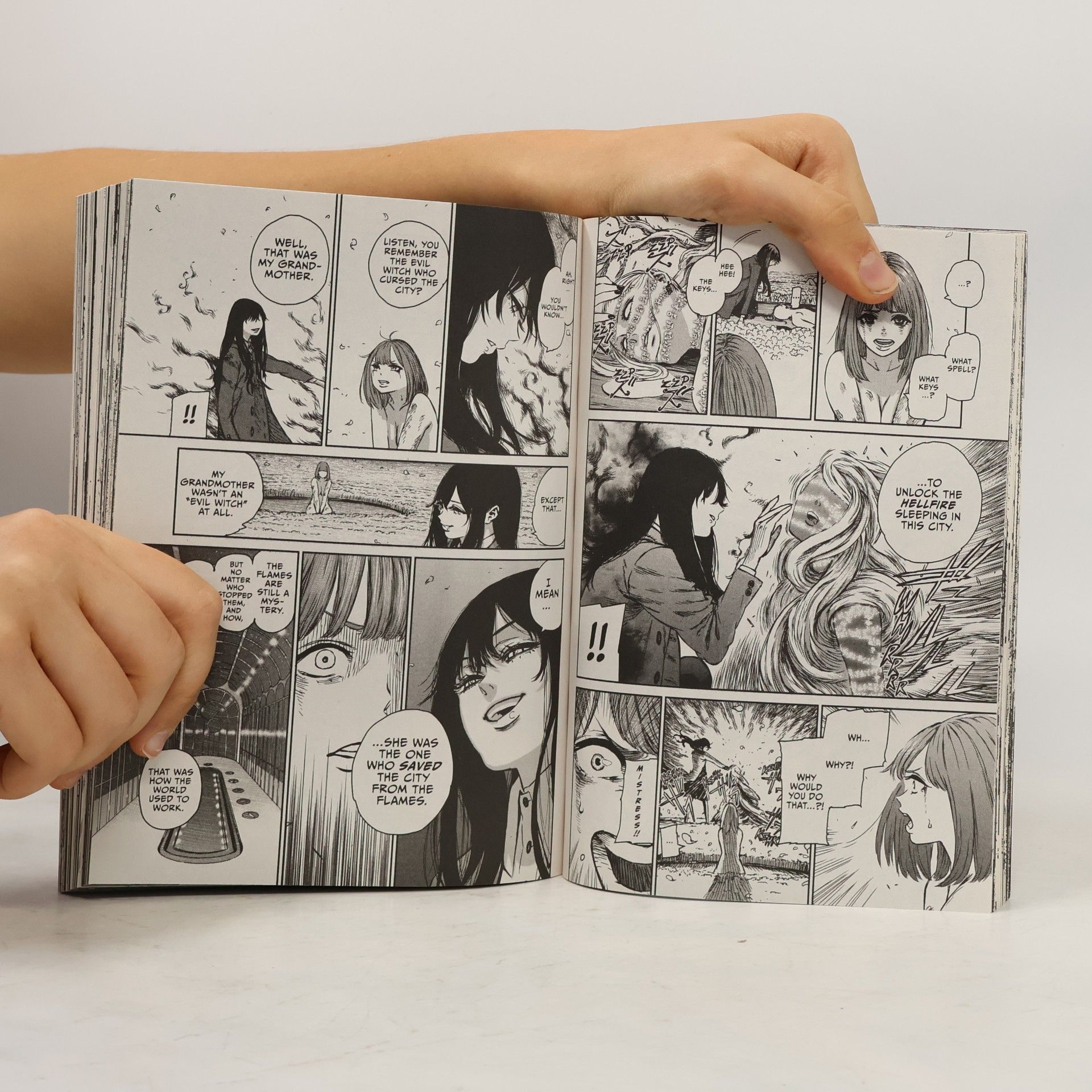 Kousuke Satake The Witch and the Beast 1