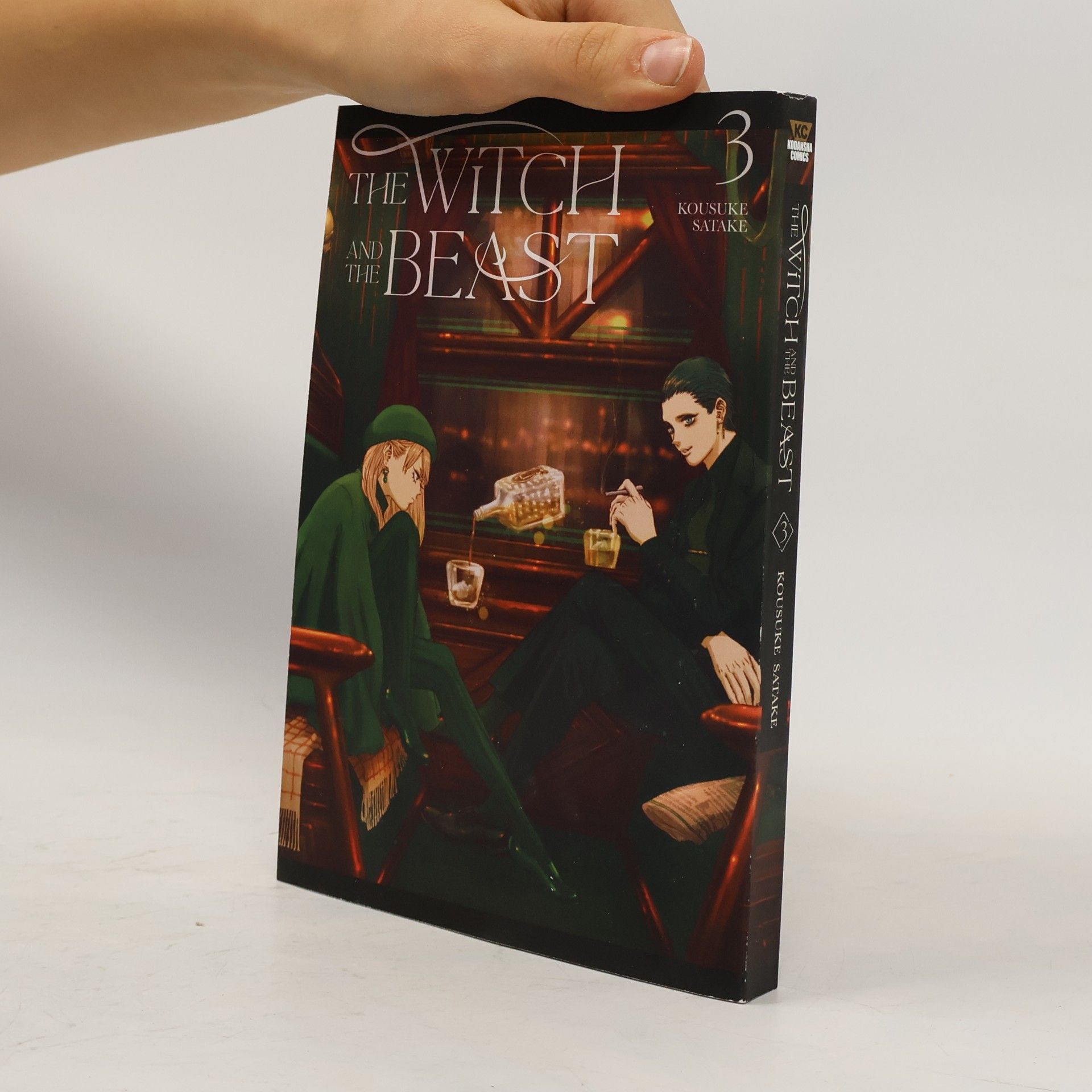 Kousuke Satake The Witch and the Beast 3