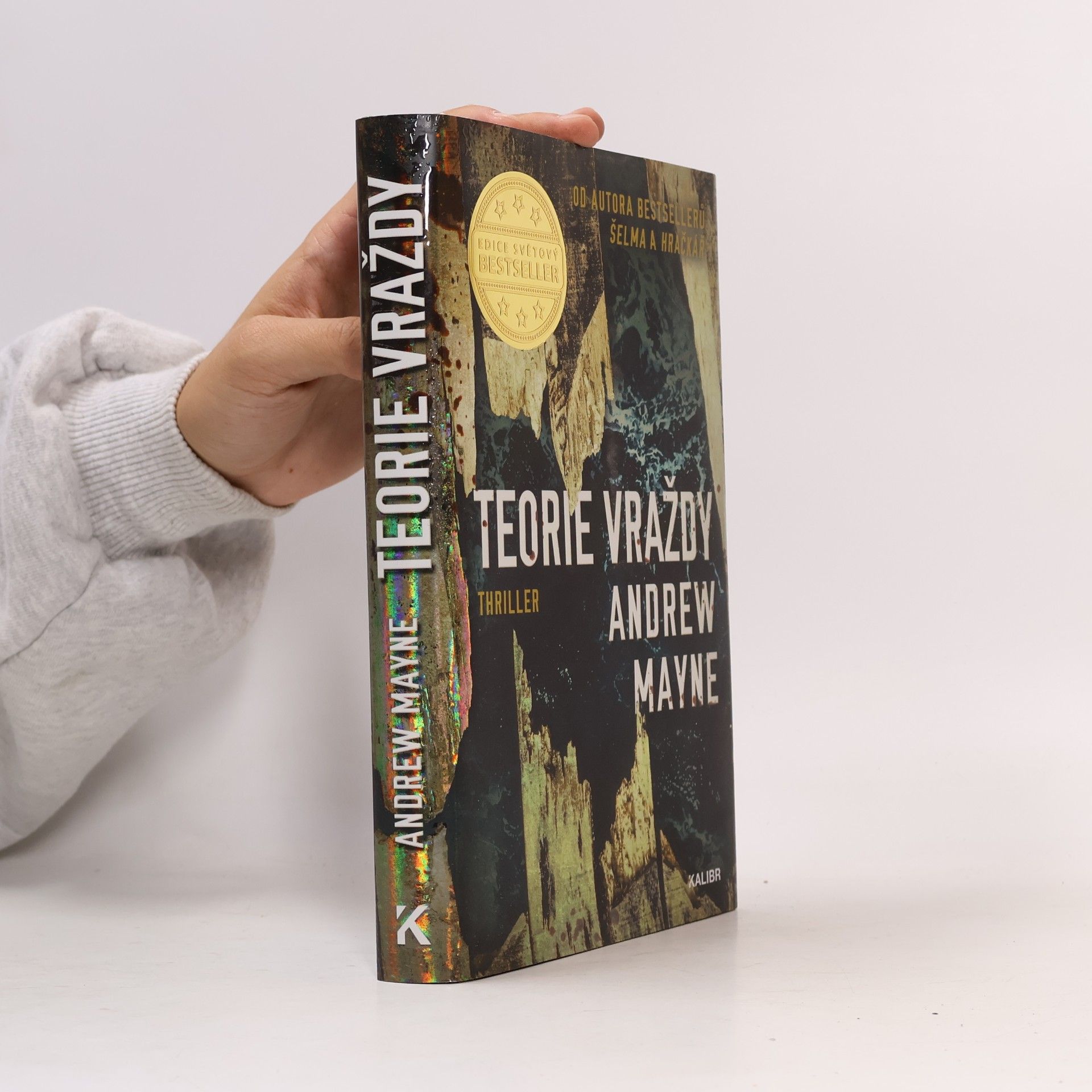 Andrew Mayne Teorie vraždy