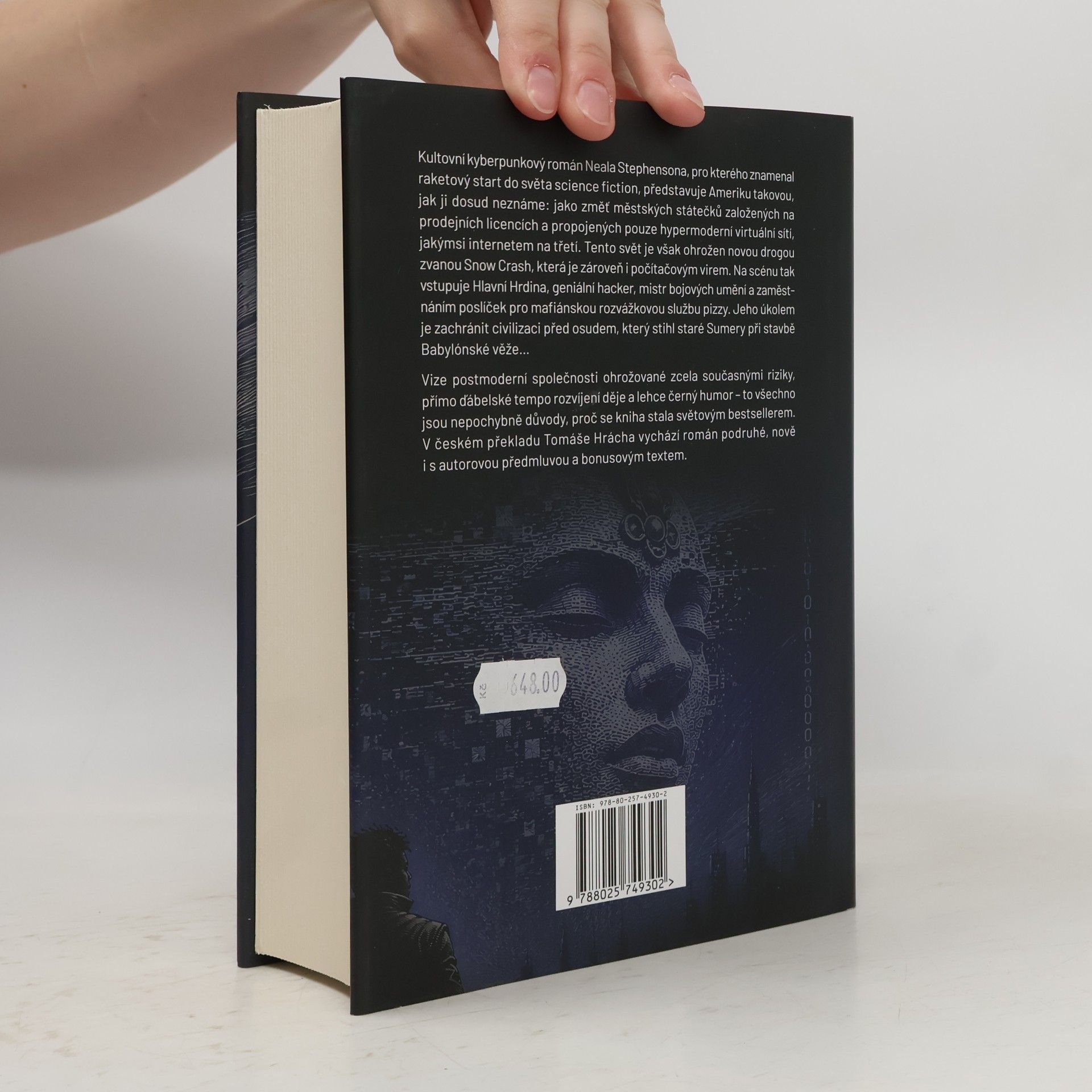 Neal Stephenson Sníh