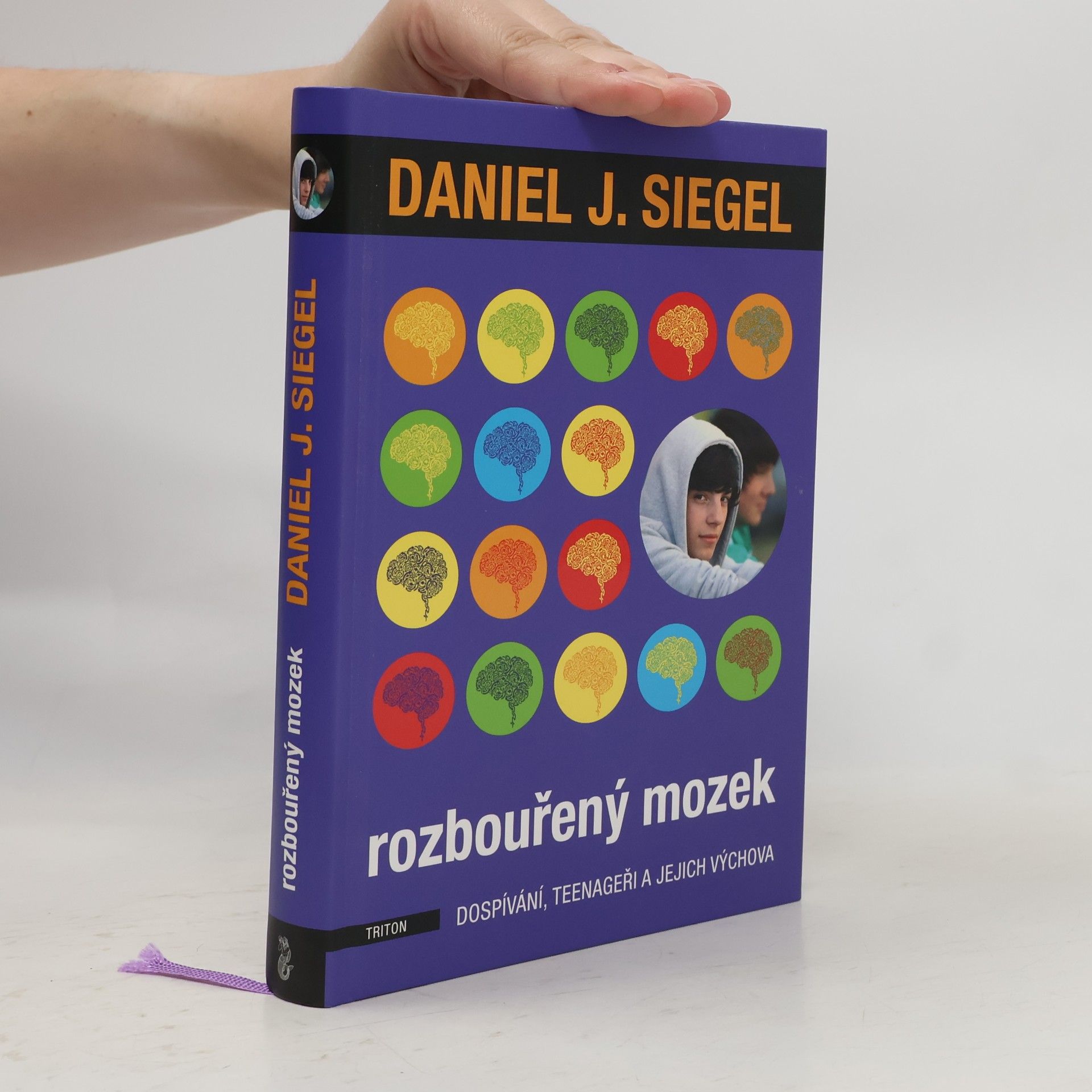 Daniel J. Siegel Rozbouřený mozek : dospívání, teenageři a jejich výchova